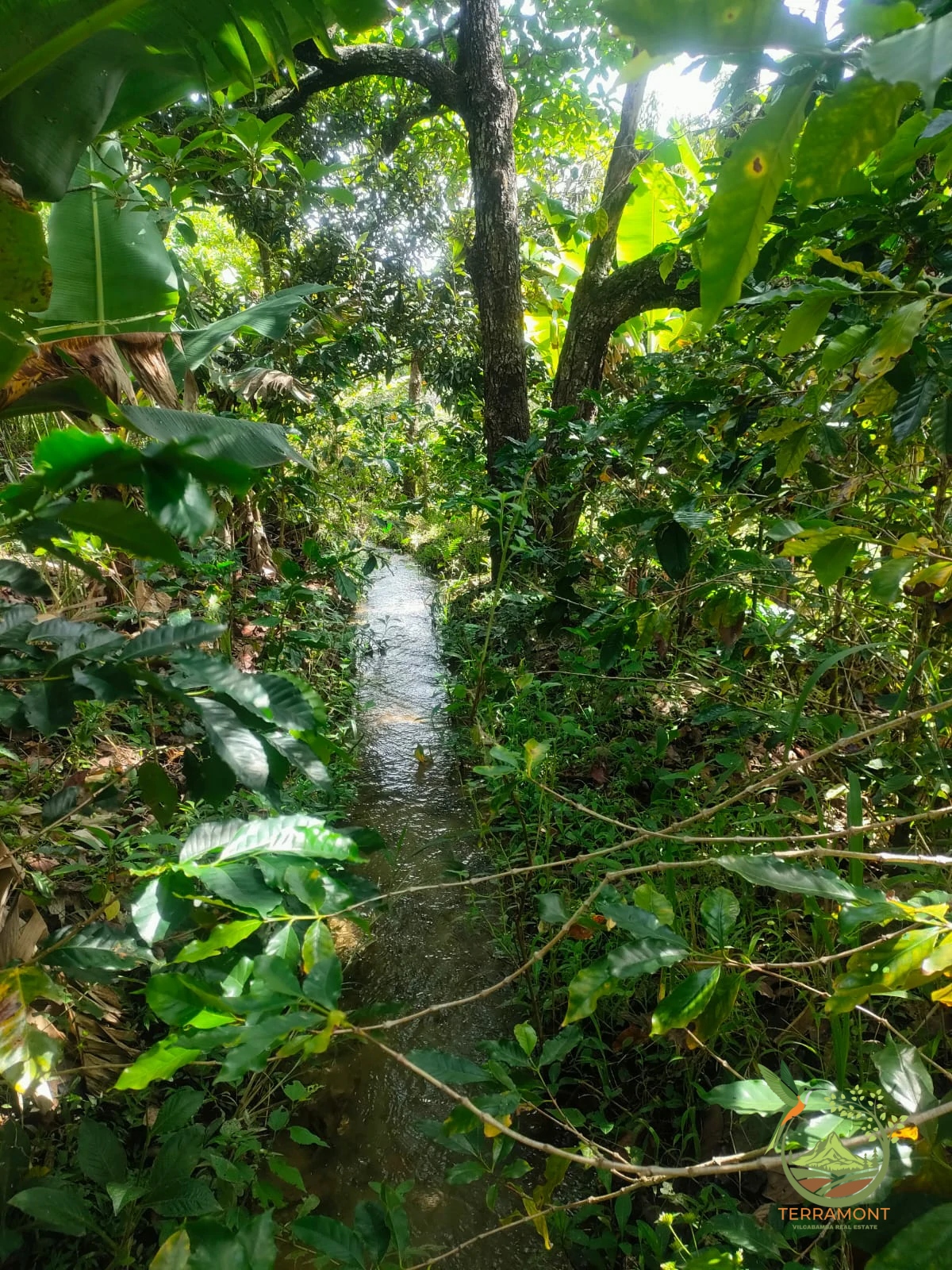 IMG-20240826-WA0099~1