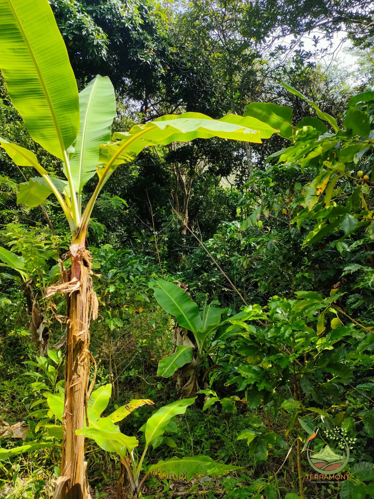 IMG-20240826-WA0109~1