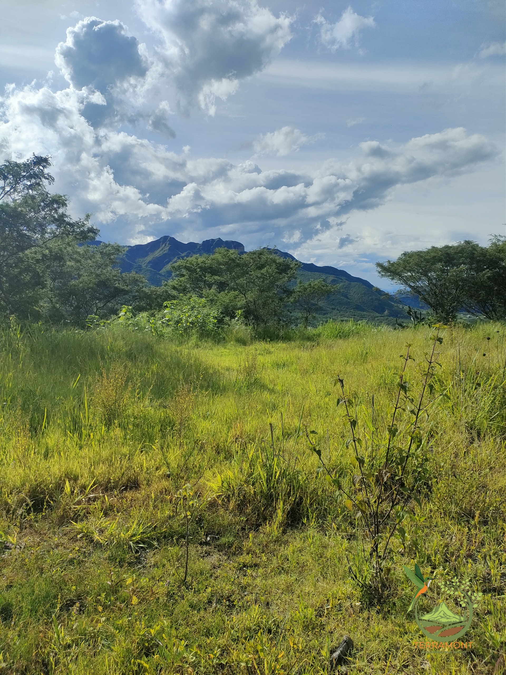 IMG20250306161445_01