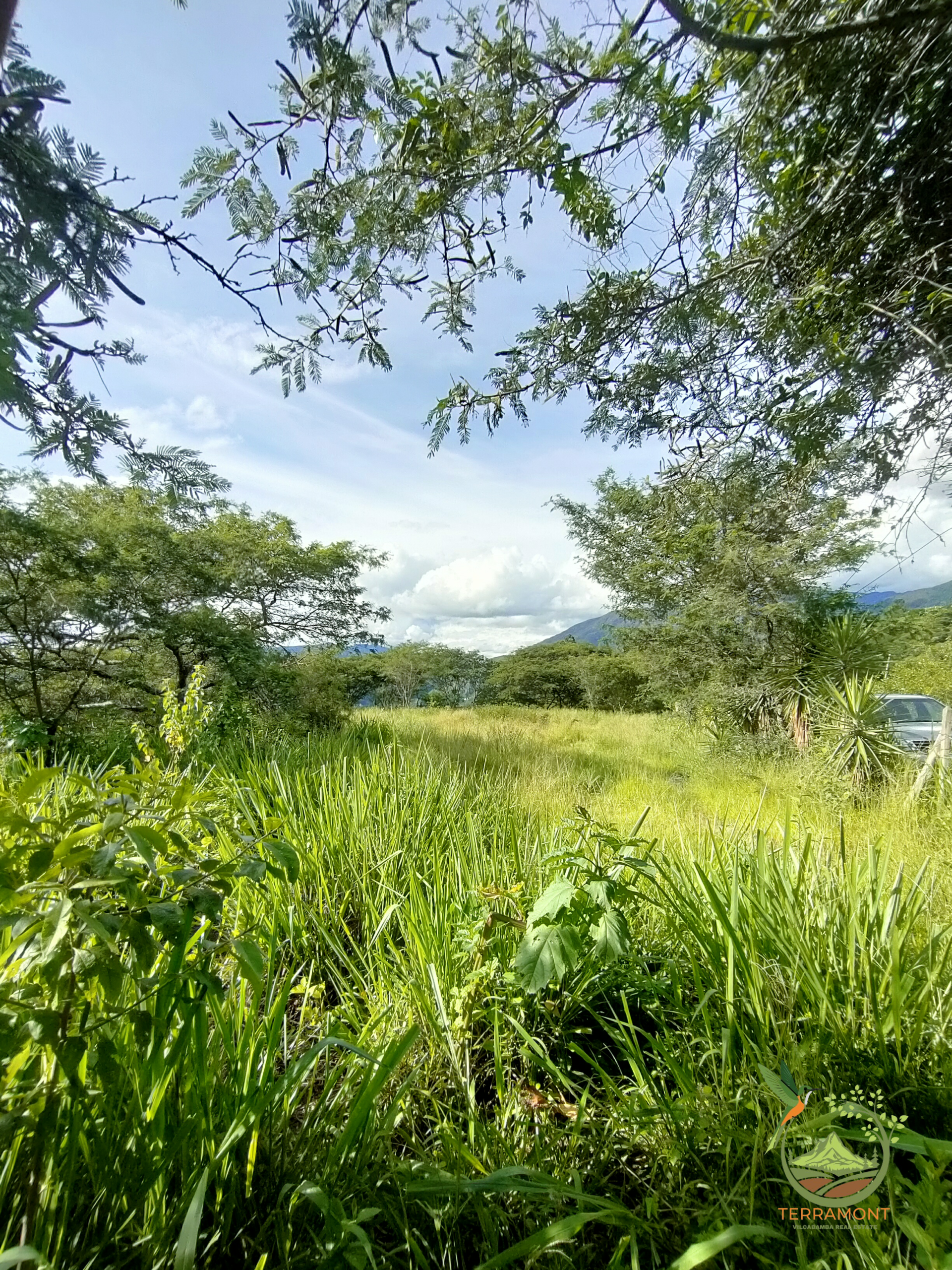 IMG20250306161520