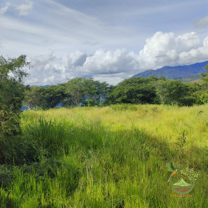 SE VENDE TERRENO EN VILCABAMBA
