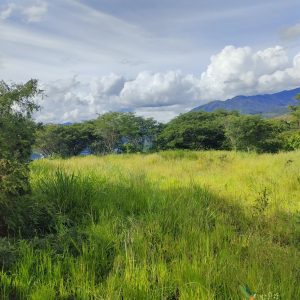 SE VENDE TERRENO EN VILCABAMBA