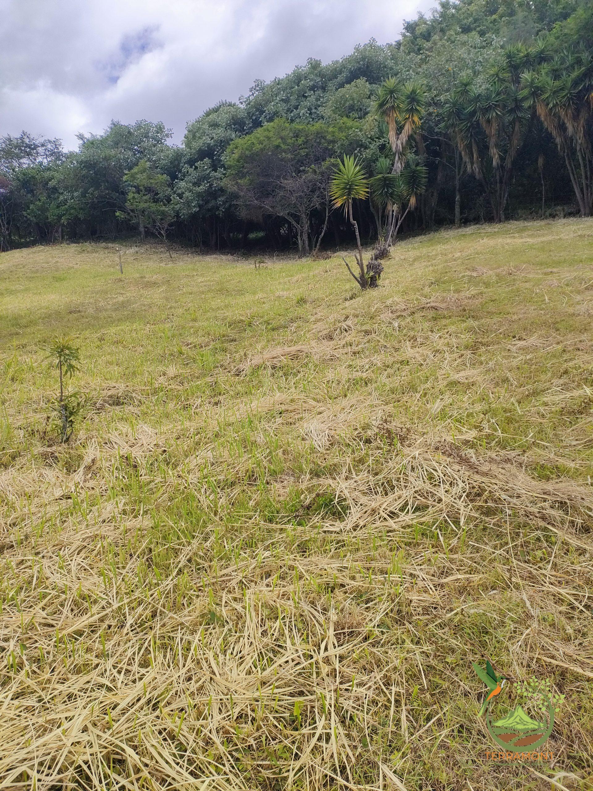 SE VENDE LOTE DE TERRENO EN VILCABAMBA