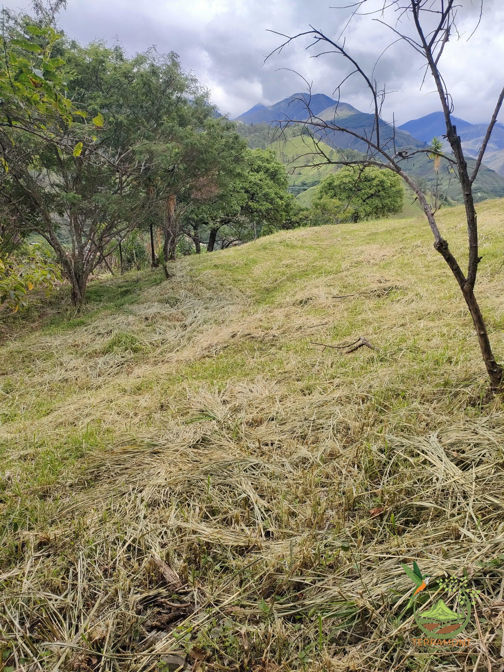 SE VENDE LOTE DE TERRENO EN VILCABAMBA