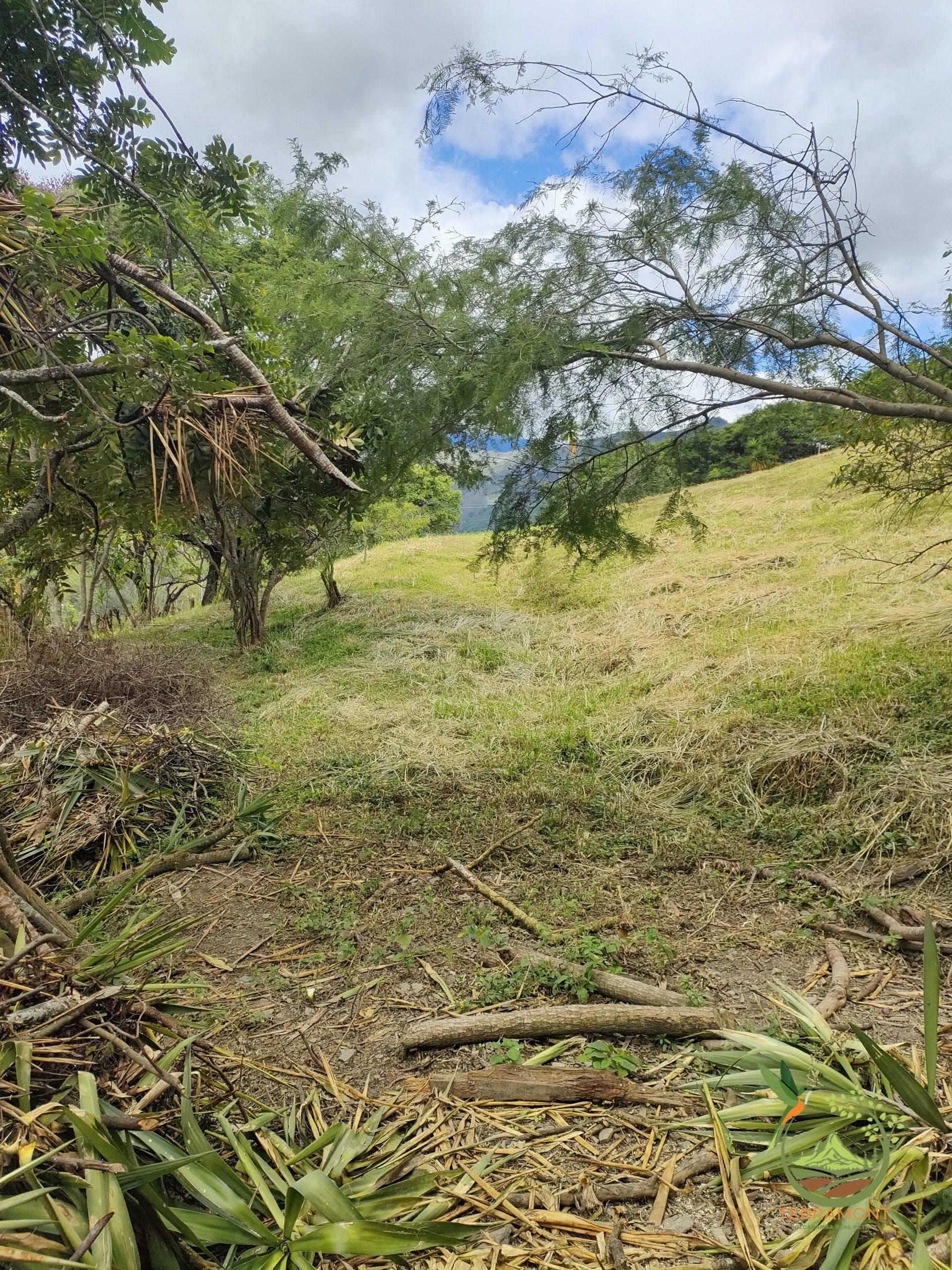 SE VENDE LOTE DE TERRENO EN VILCABAMBA