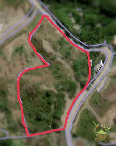 Imagen de WhatsApp 2025-04-16 a las 16.14.18_07706354