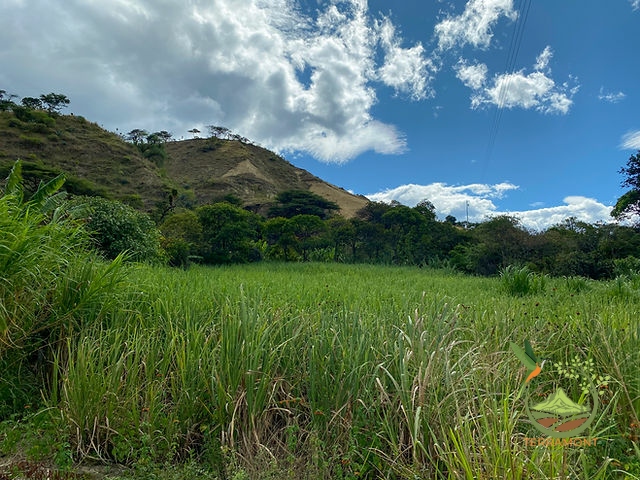 dfaf53_aa57f653d5ec4e7bbef9285605447fe5~mv2