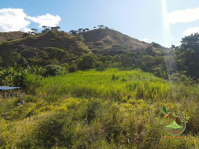 dfaf53_bbdf97bab734400aa8344aabedb0e61b~mv2