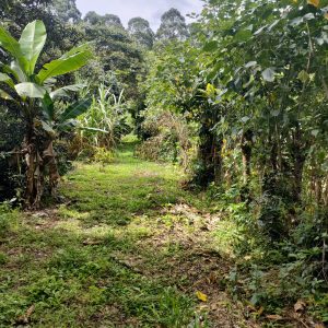 Se Vende Hermoso Lote en Vilcabamba