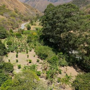 Se Vende Fantástica Propiedad Junto al Río