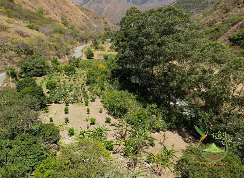 Se Vende Fantástica Propiedad Junto al Río