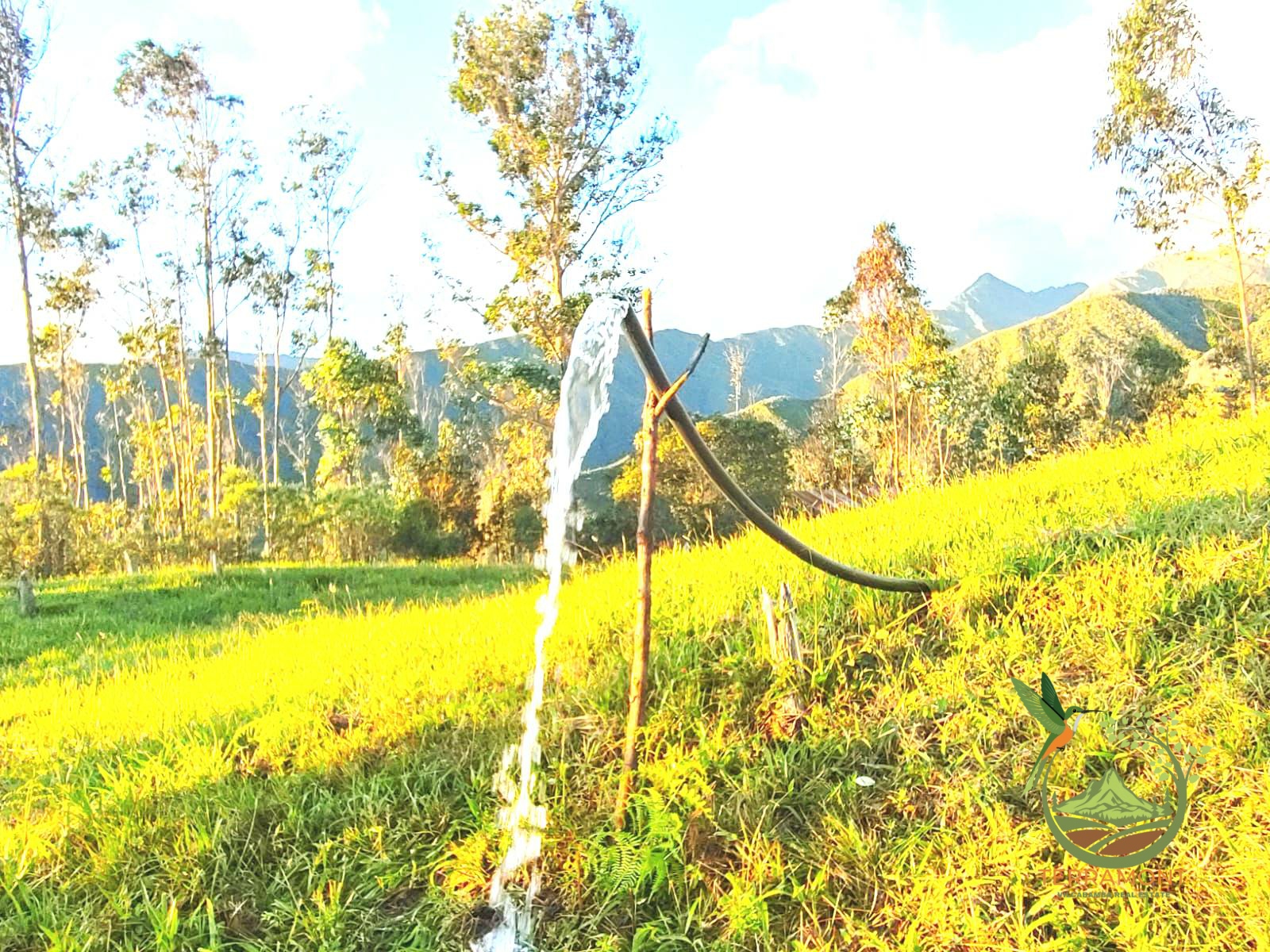 SE VENDE MAGNIFICA FINCA DE 42 HECTAREAS. (103.78 ACRES) EN VILCABAMBA.