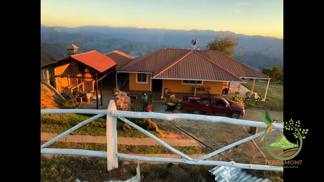 0fc2a697-164c-4f02-ad97-74585728dfda