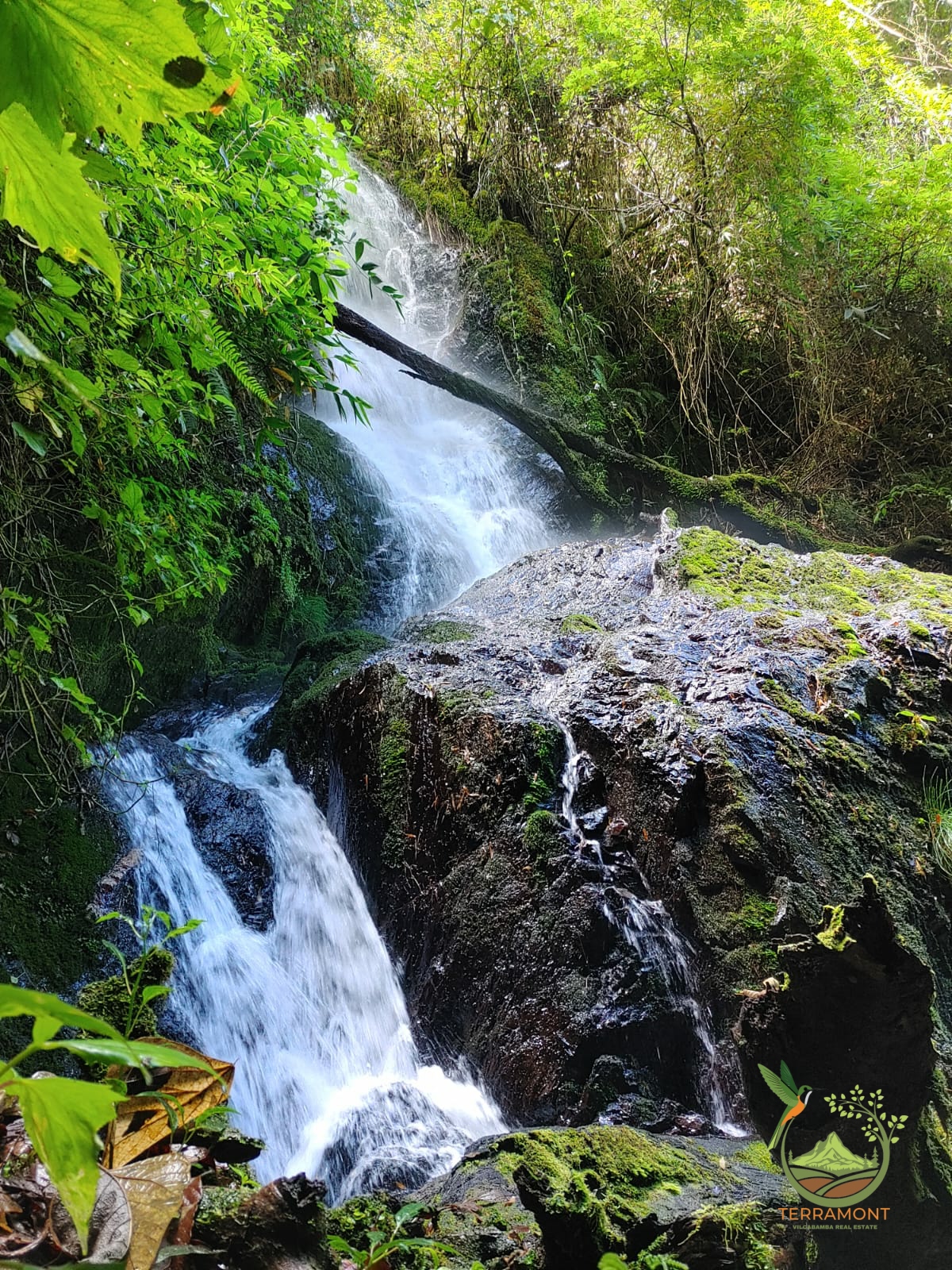 SE VENDE MAGNIFICA FINCA DE 42 HECTAREAS. (103.78 ACRES) EN VILCABAMBA.