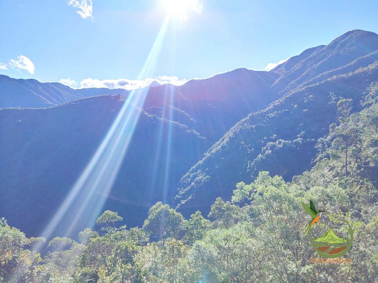 SE VENDE MAGNIFICA FINCA DE 42 HECTAREAS. (103.78 ACRES) EN VILCABAMBA.