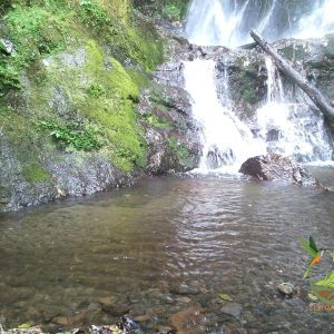 SE VENDE MAGNIFICA FINCA DE 42 HECTAREAS. (103.78 ACRES) EN VILCABAMBA.