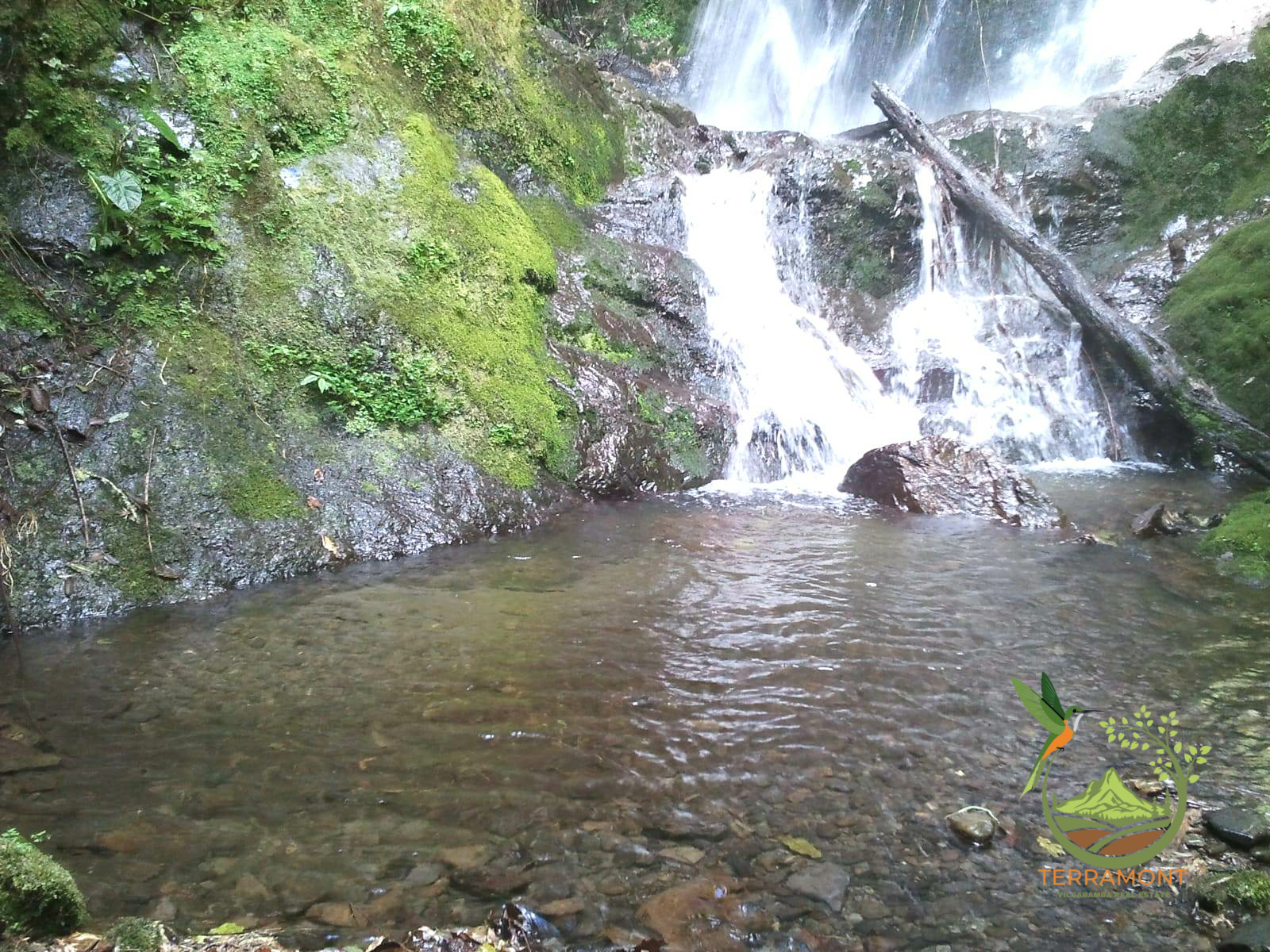 SE VENDE MAGNIFICA FINCA DE 42 HECTAREAS. (103.78 ACRES) EN VILCABAMBA.