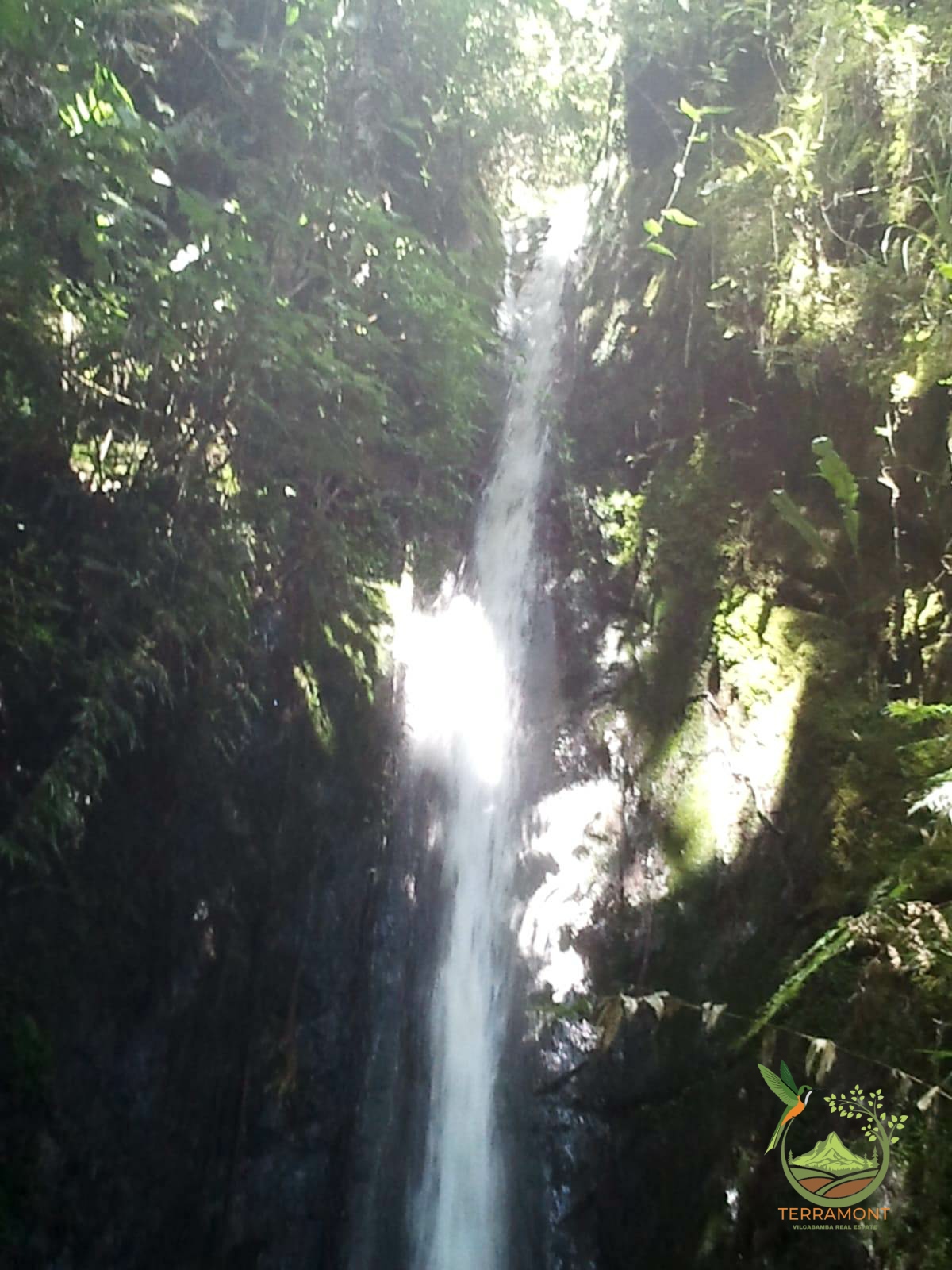 SE VENDE MAGNIFICA FINCA DE 42 HECTAREAS. (103.78 ACRES) EN VILCABAMBA.