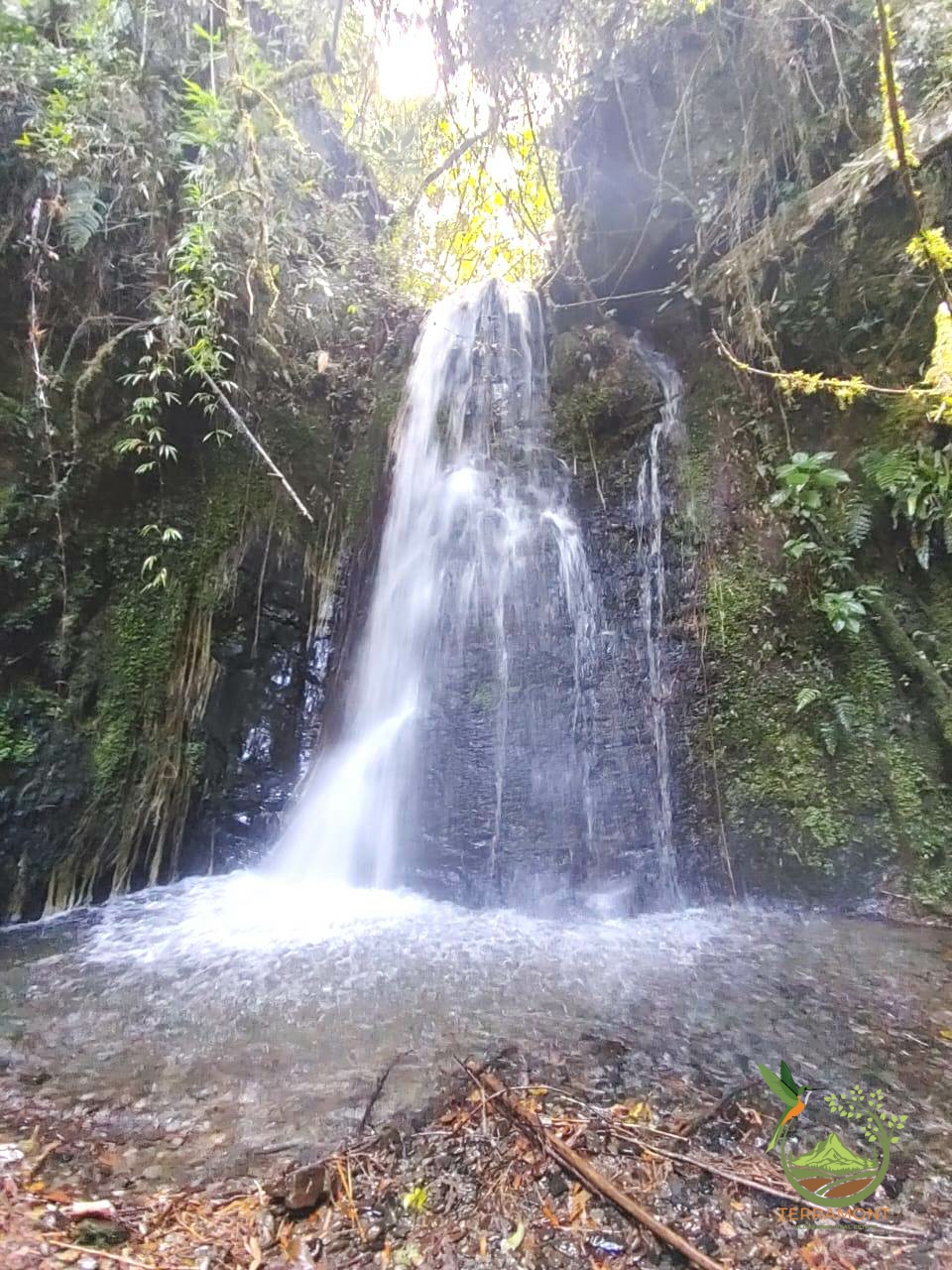 SE VENDE MAGNIFICA FINCA DE 42 HECTAREAS. (103.78 ACRES) EN VILCABAMBA.