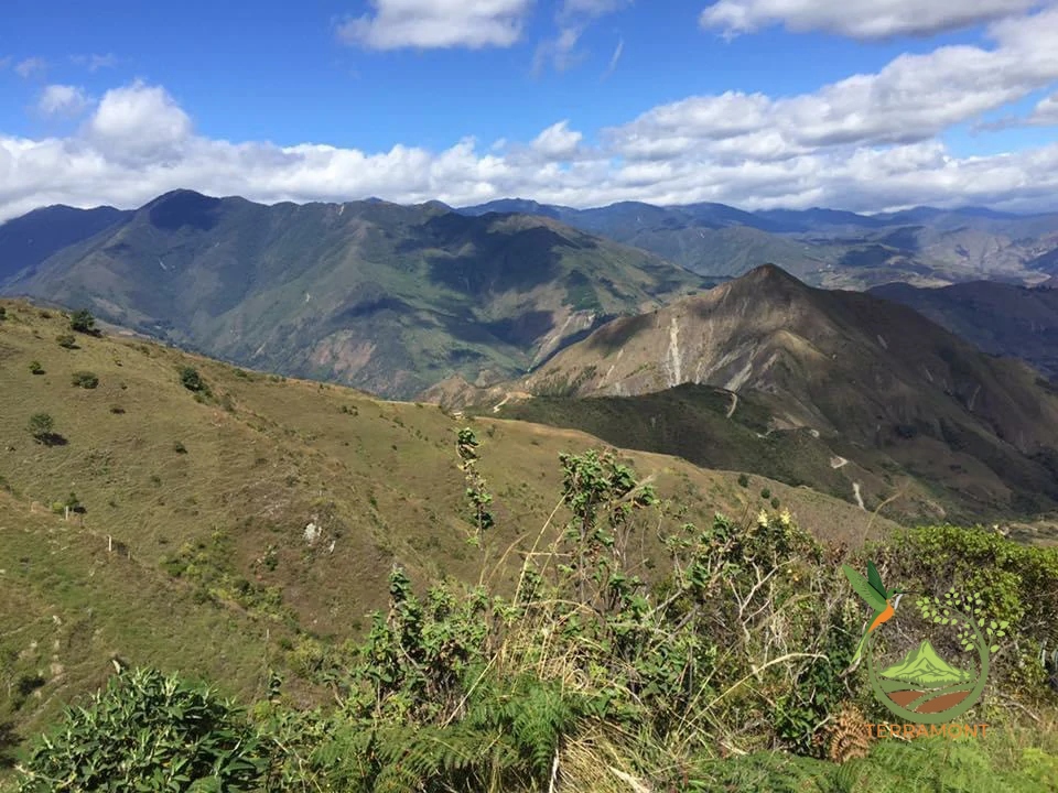 450950b8-04bd-41bf-8775-e4be4c69c849