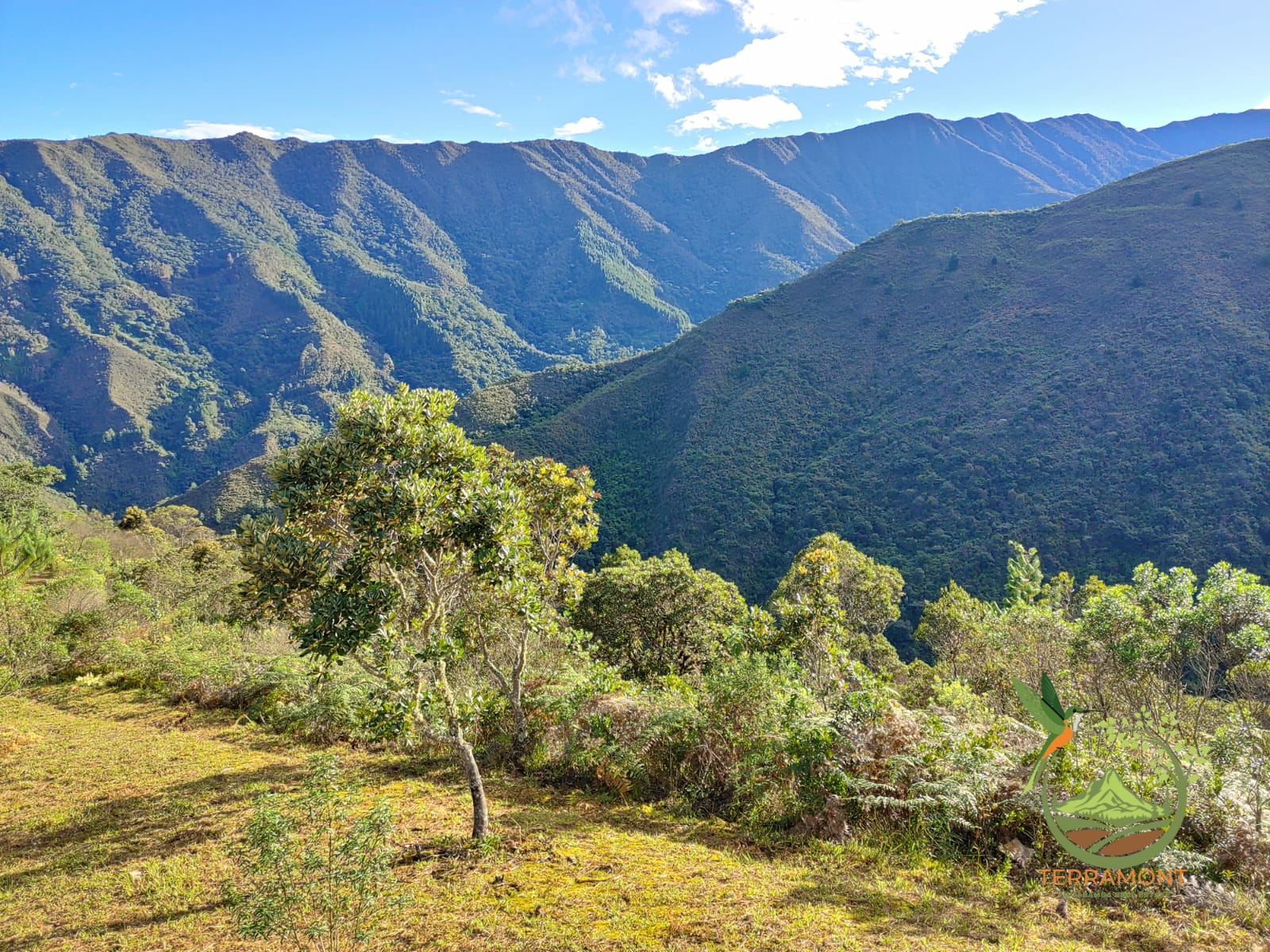 SE VENDE MAGNIFICA FINCA DE 42 HECTAREAS. (103.78 ACRES) EN VILCABAMBA.