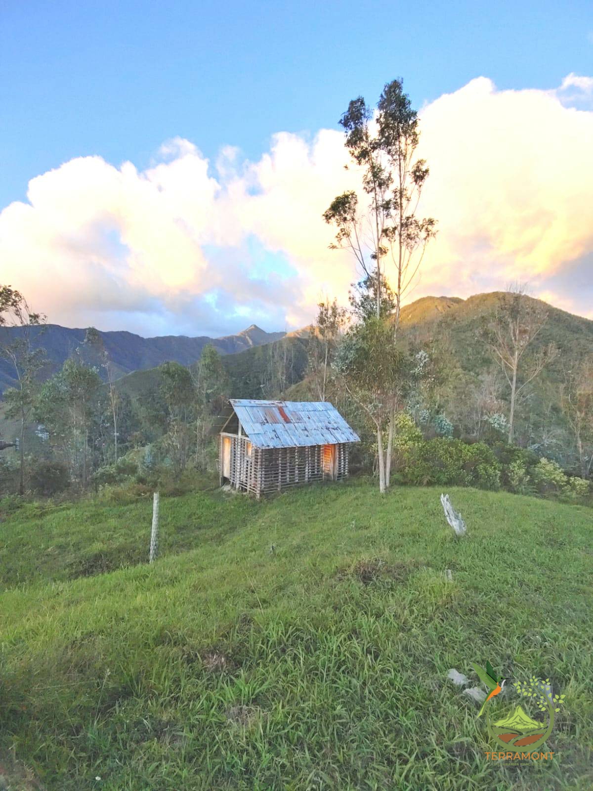 SE VENDE MAGNIFICA FINCA DE 42 HECTAREAS. (103.78 ACRES) EN VILCABAMBA.