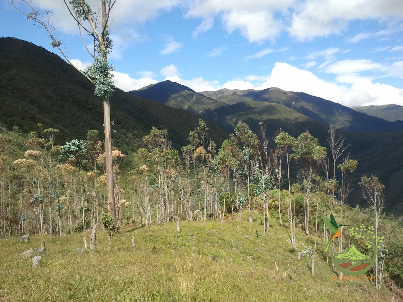 SE VENDE MAGNIFICA FINCA DE 42 HECTAREAS. (103.78 ACRES) EN VILCABAMBA.