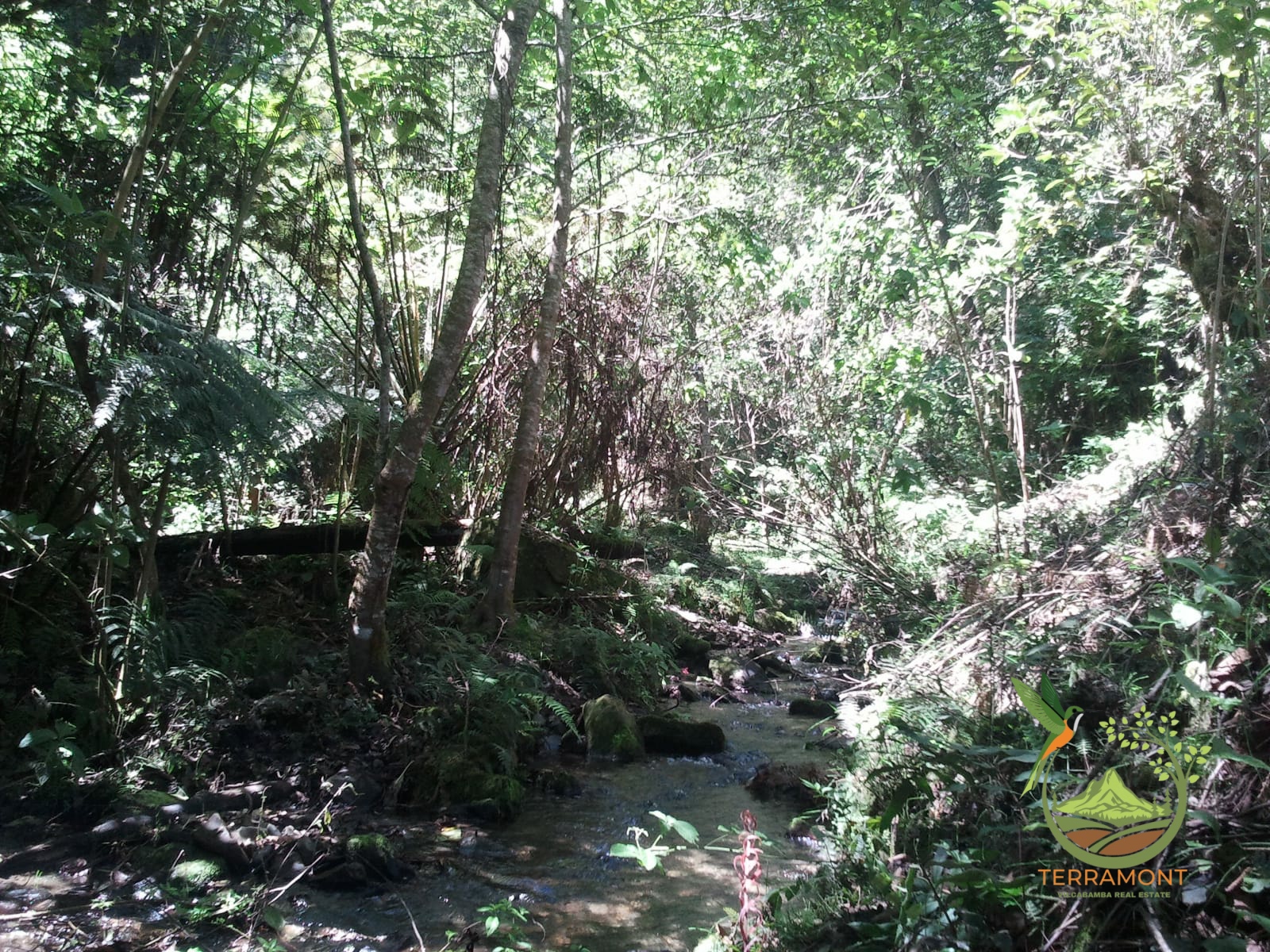 SE VENDE MAGNIFICA FINCA DE 42 HECTAREAS. (103.78 ACRES) EN VILCABAMBA.