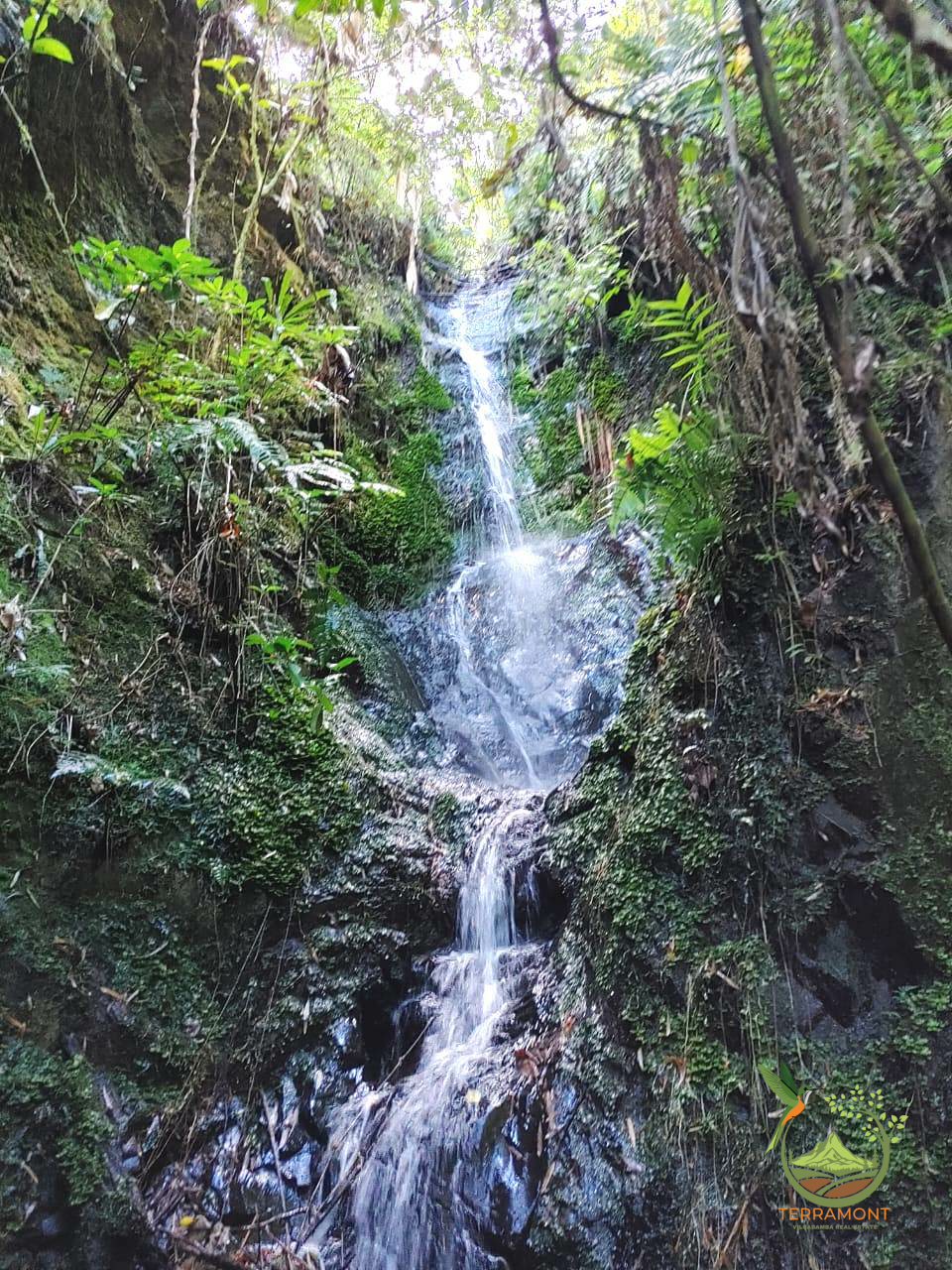SE VENDE MAGNIFICA FINCA DE 42 HECTAREAS. (103.78 ACRES) EN VILCABAMBA.