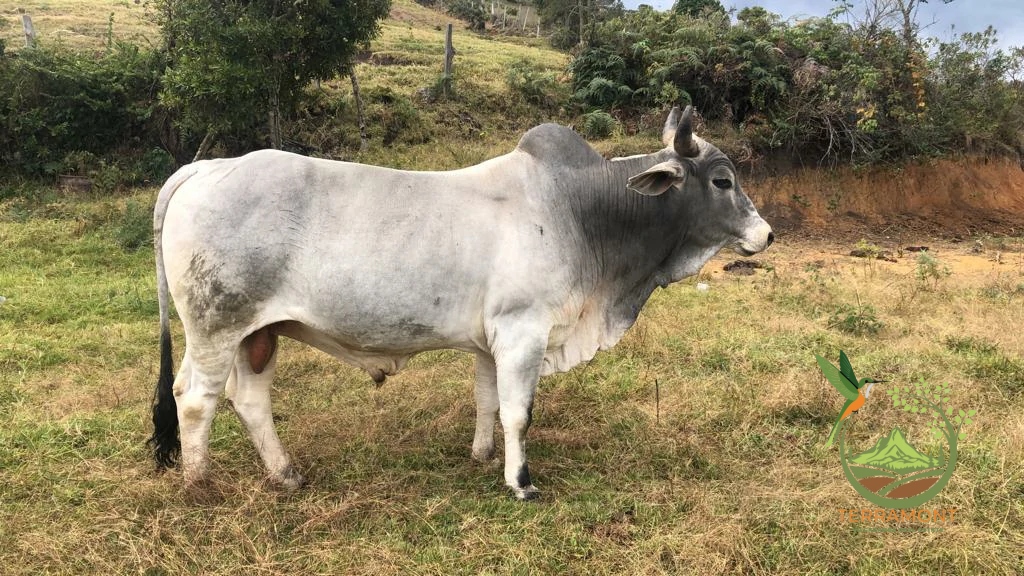 853dffa8-5c50-453f-9bdf-43f5a8e639b4