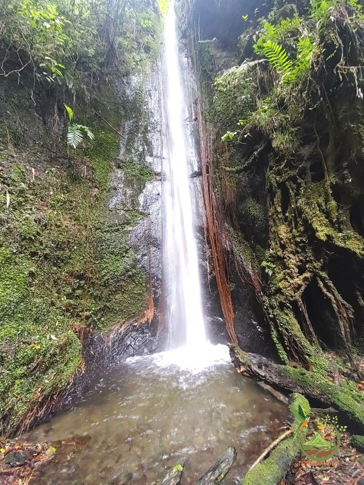 SE VENDE MAGNIFICA FINCA DE 42 HECTAREAS. (103.78 ACRES) EN VILCABAMBA.