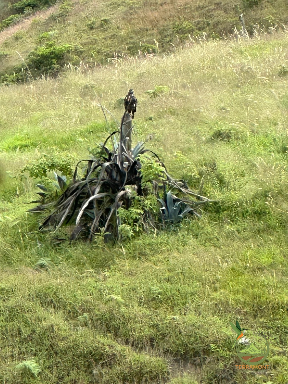 IMG-20250515-WA0134