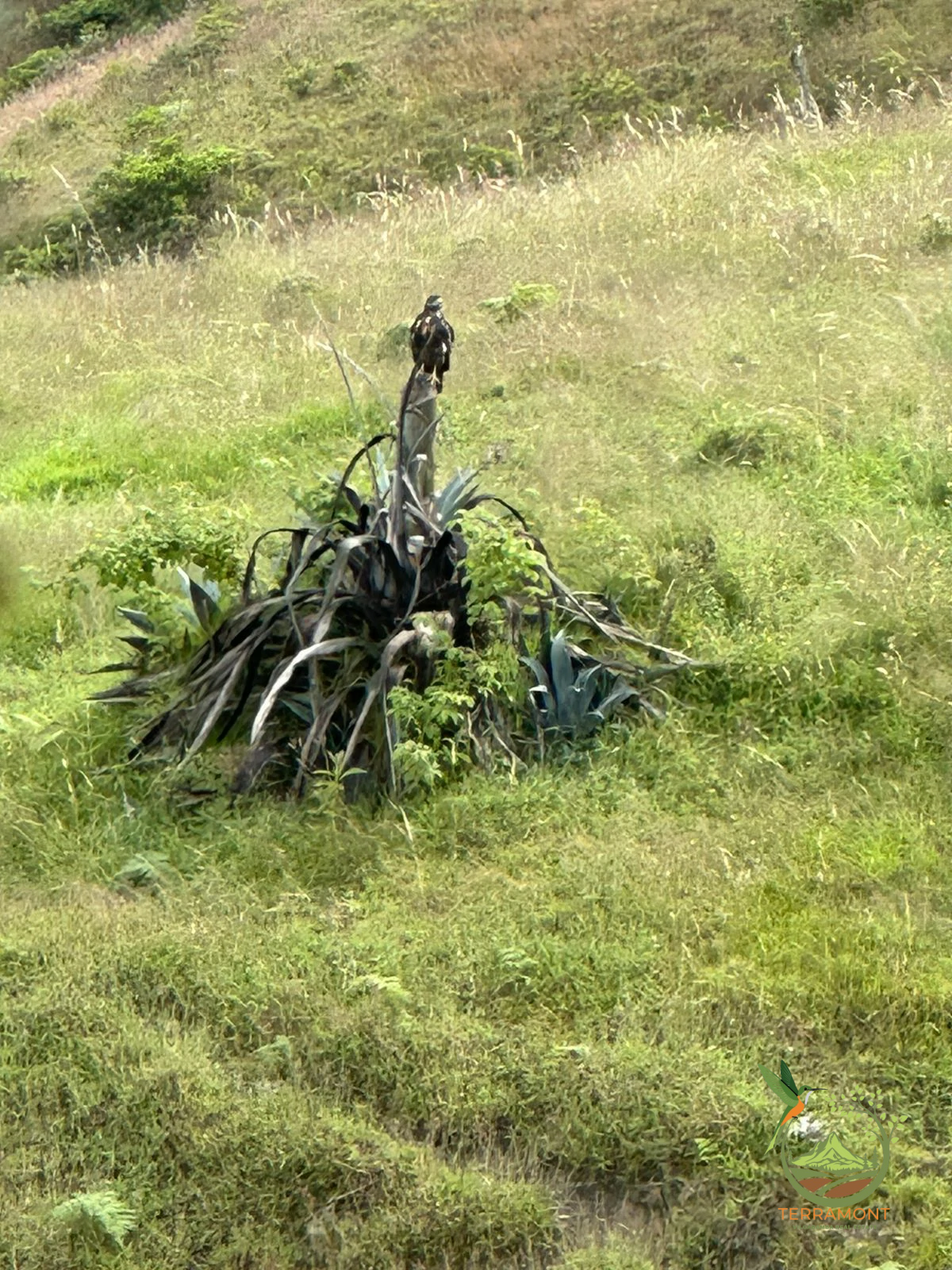 IMG-20250515-WA0134