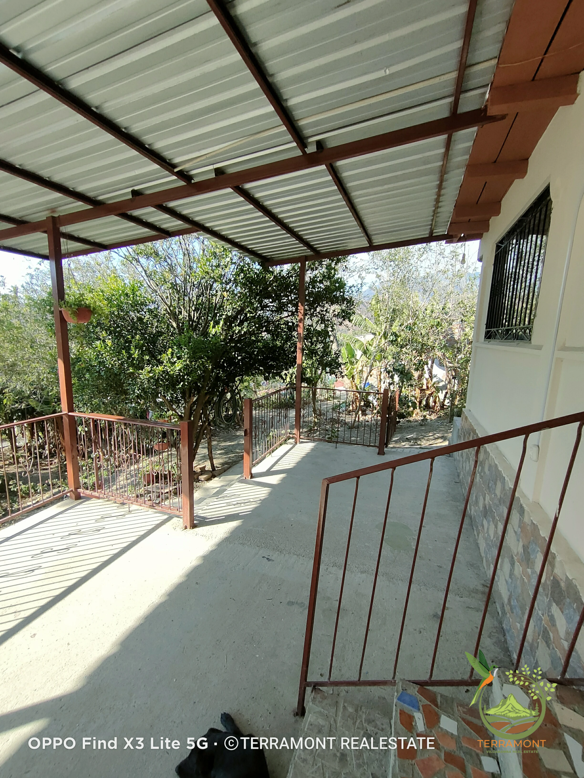 IMG20241111155826