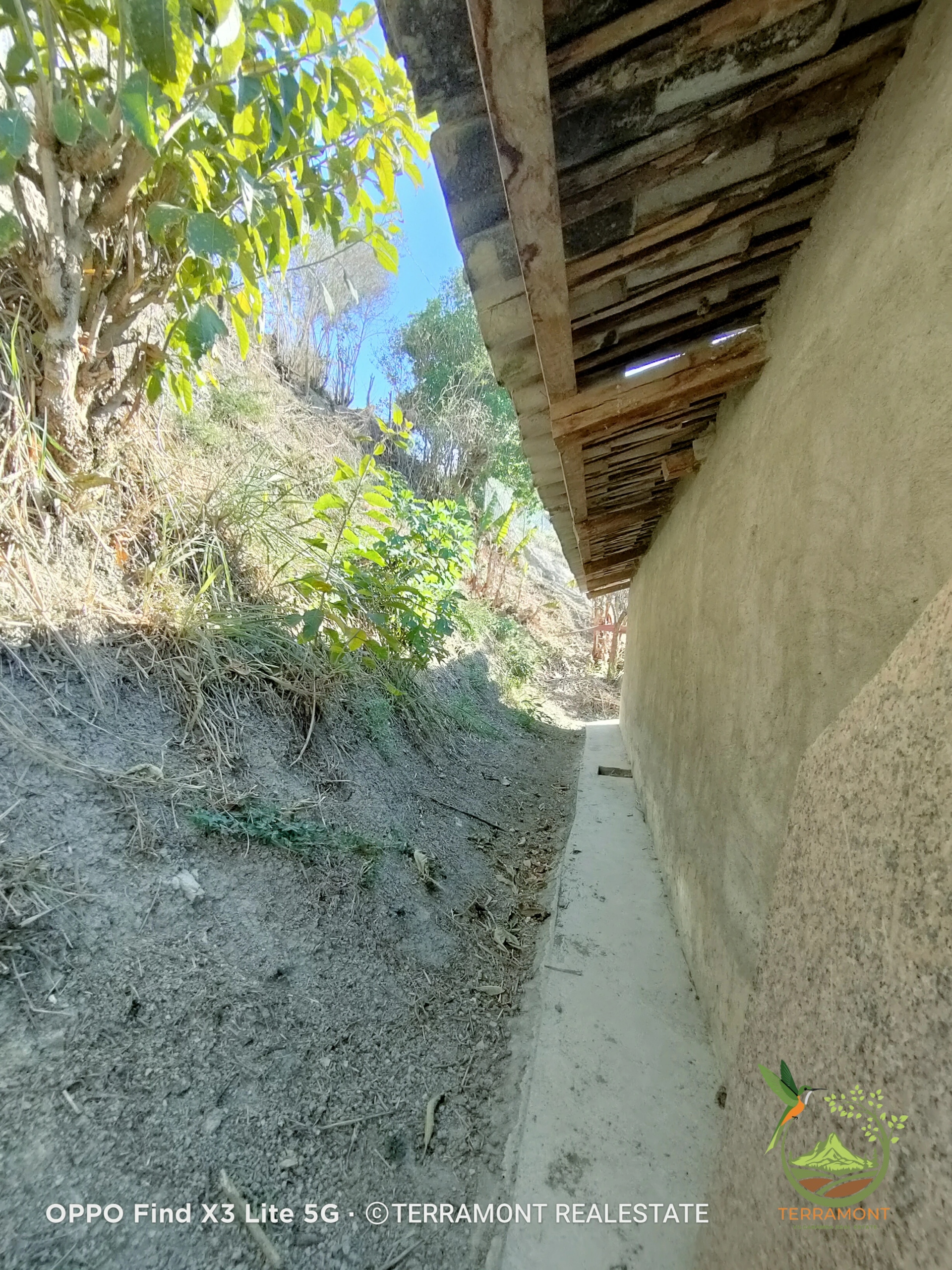 IMG20241111155958