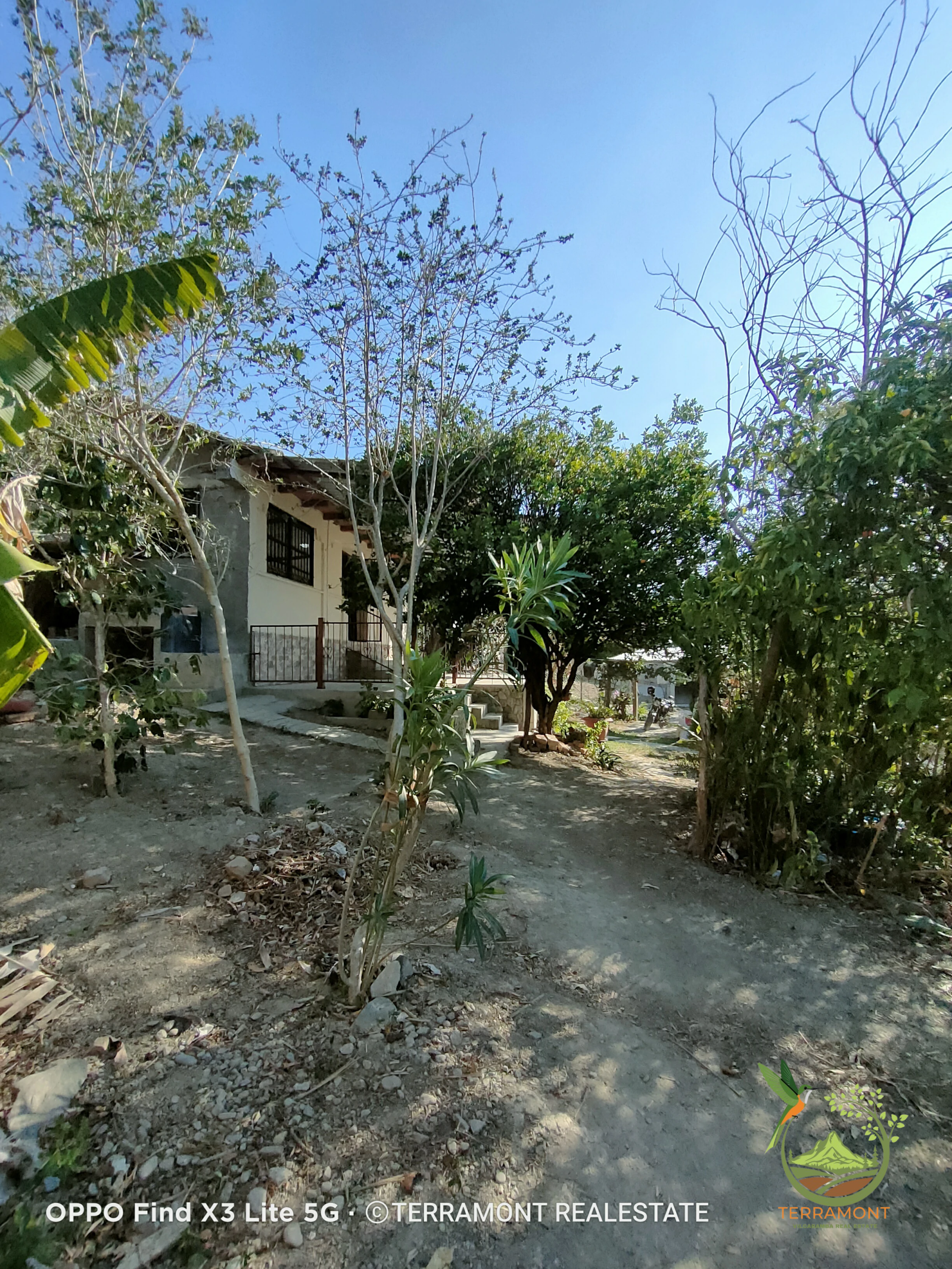 IMG20241111160037