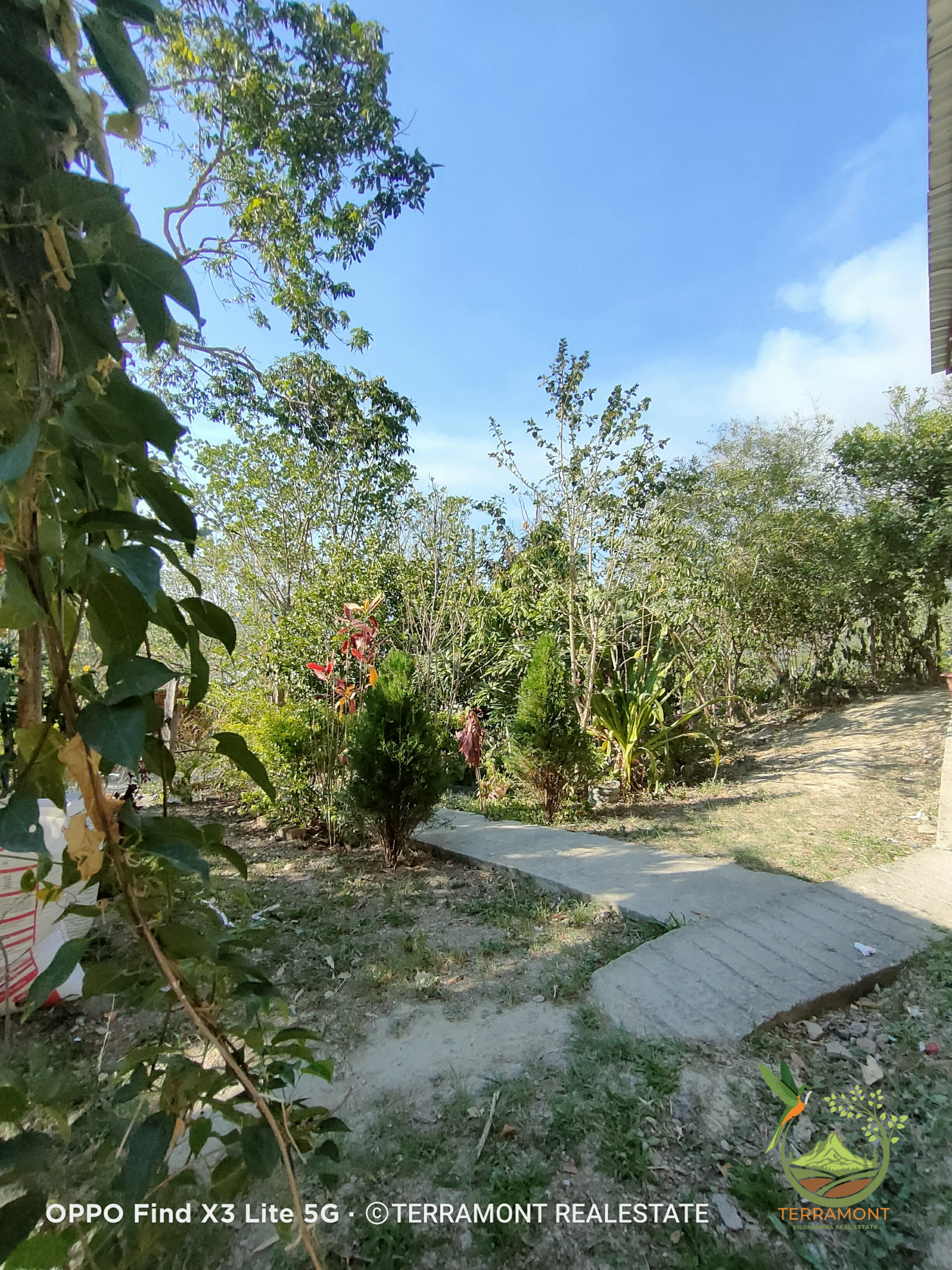 IMG20241111160115