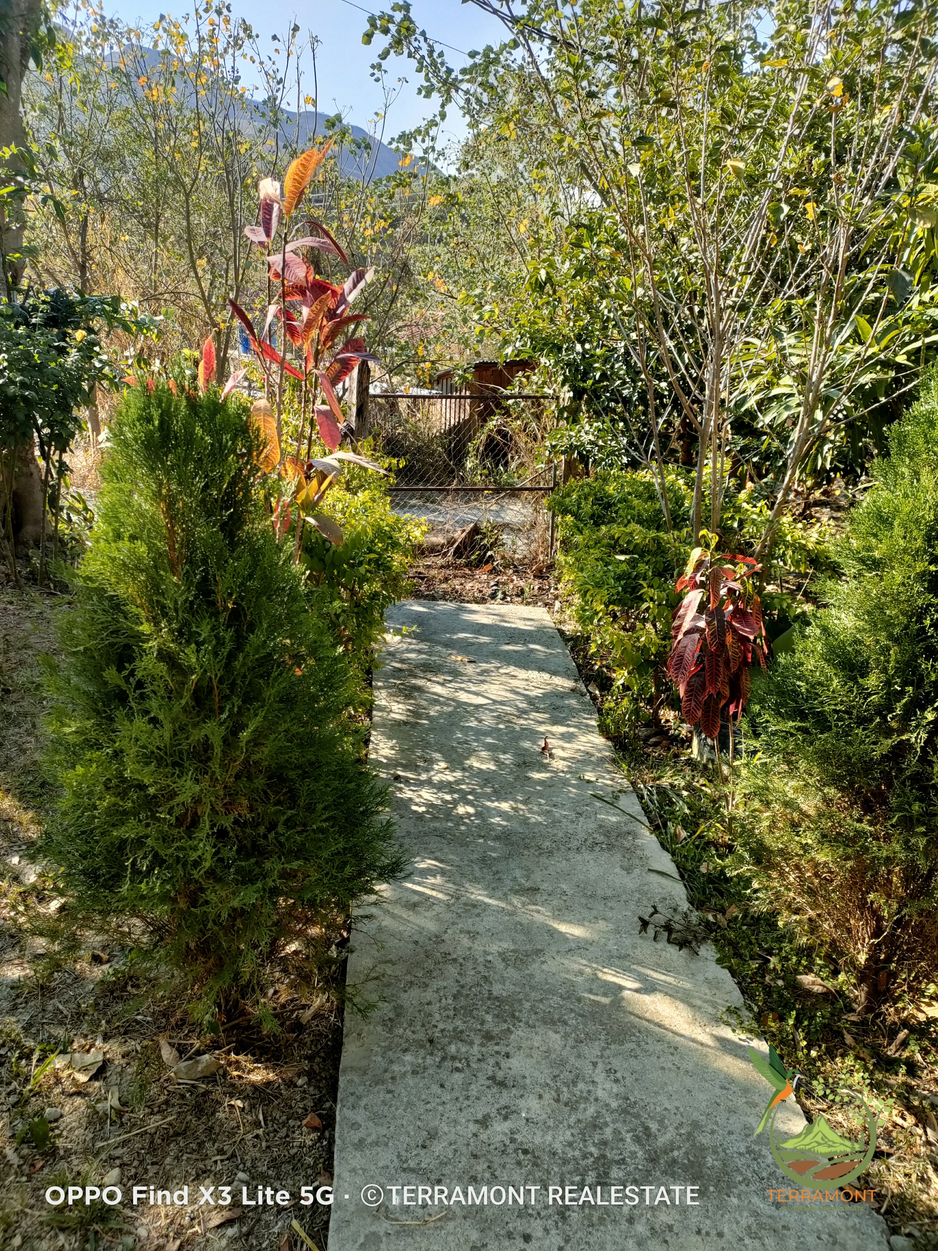 IMG20241111160156
