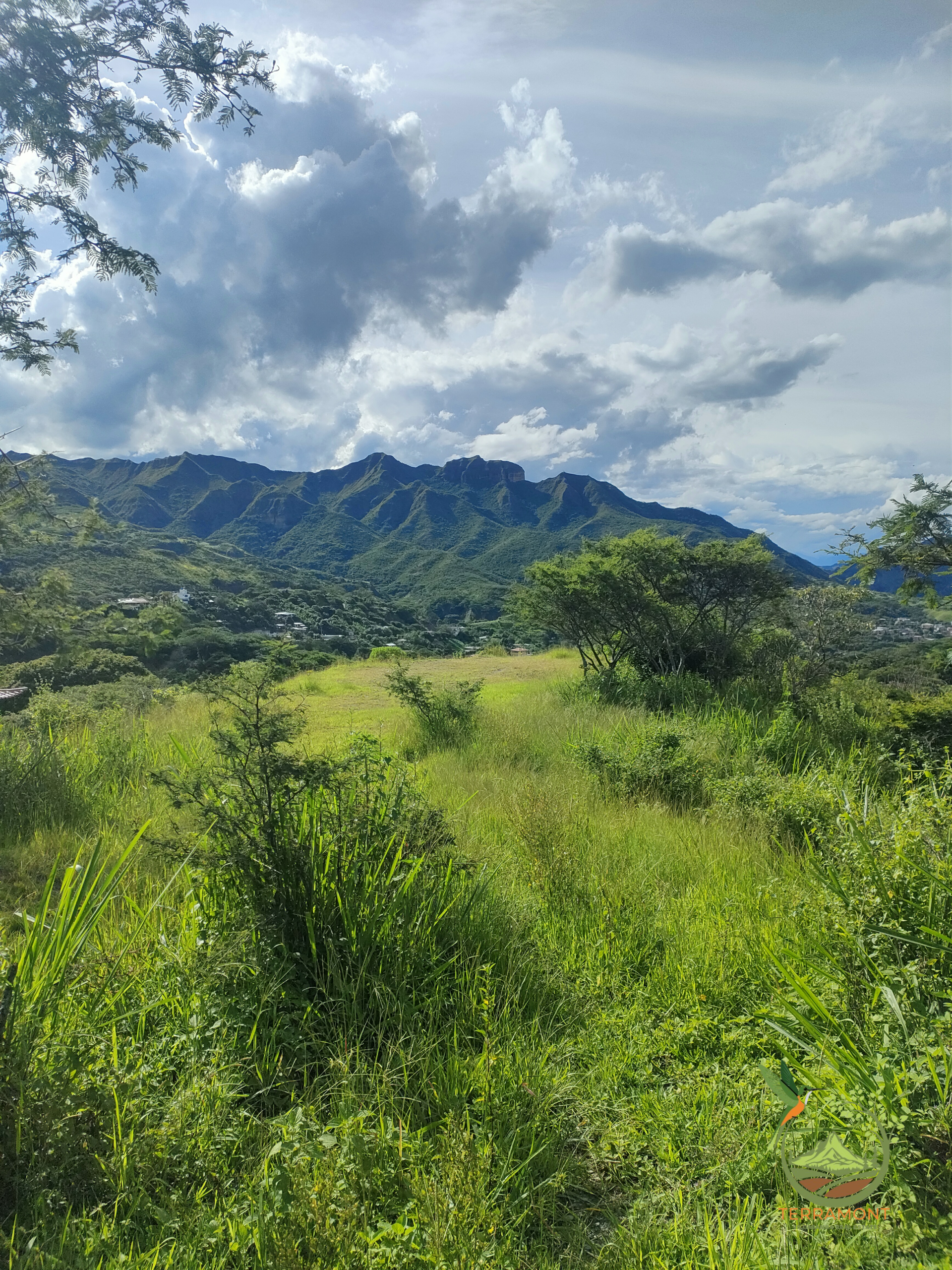 SE VENDE FANTÁSTICA FINCA EN LA PARTE ALTA DE VILCABAMBA.