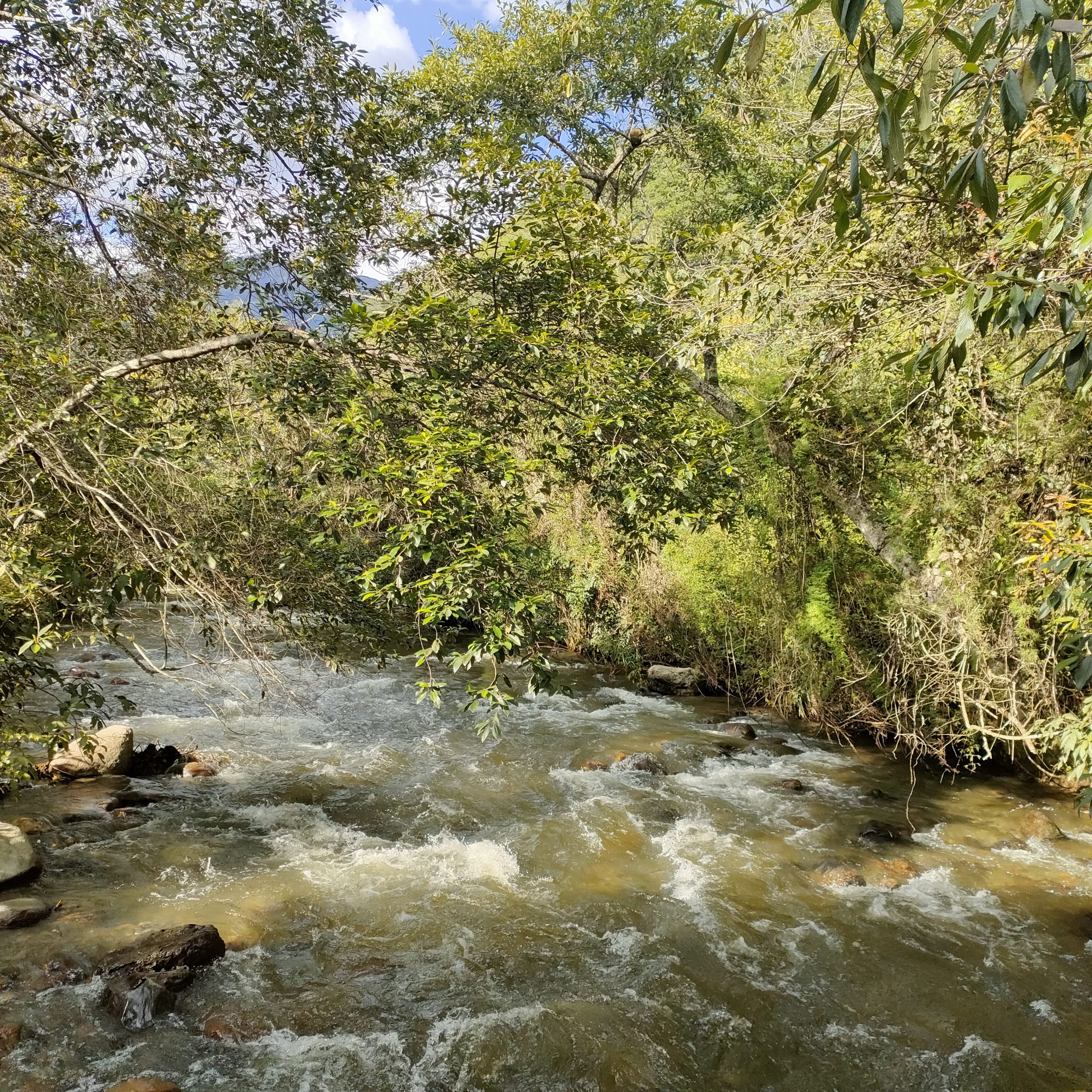 SE VENDE CASA MAS TERRENO JUNTO AL RIO.
