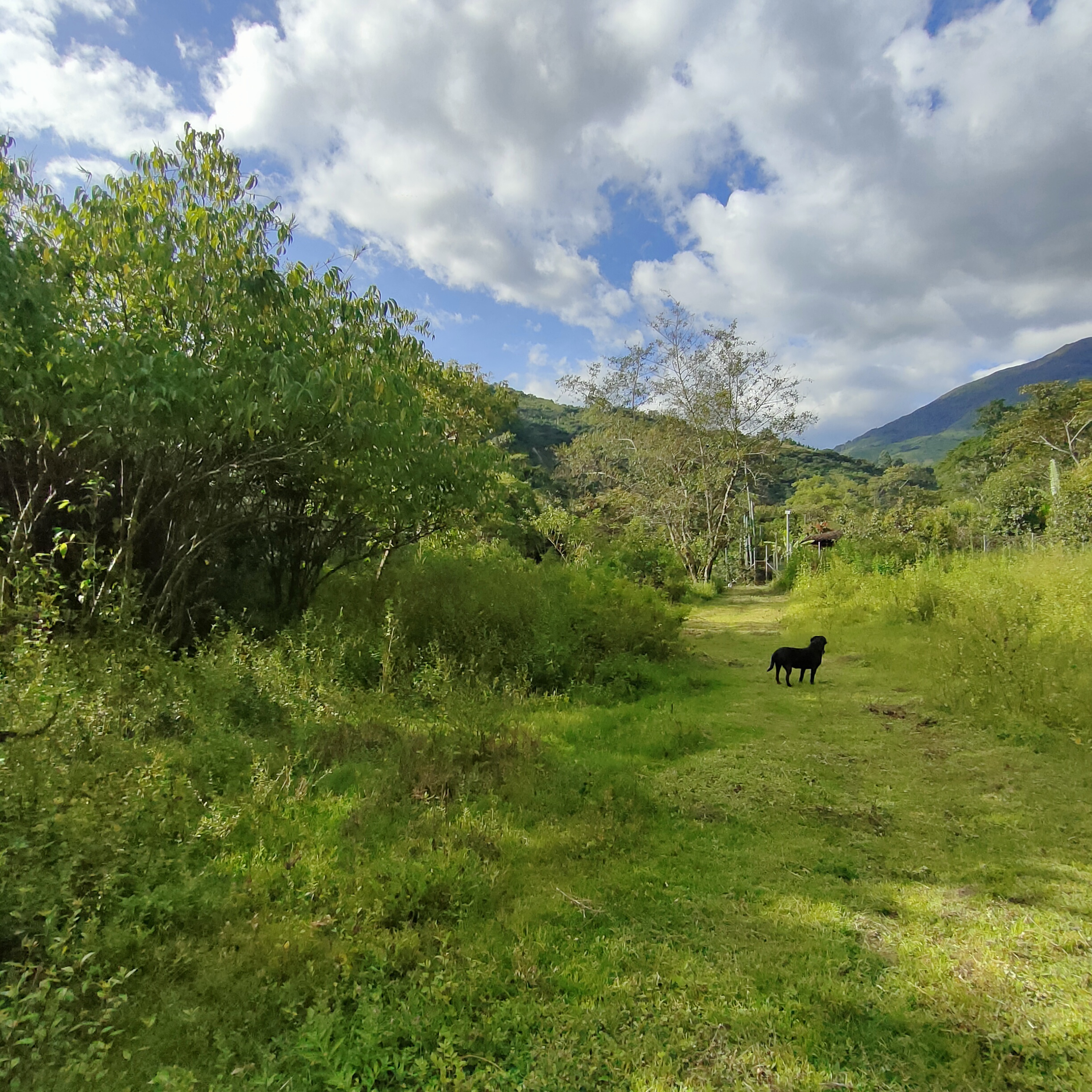 SE VENDE CASA MAS TERRENO JUNTO AL RIO.