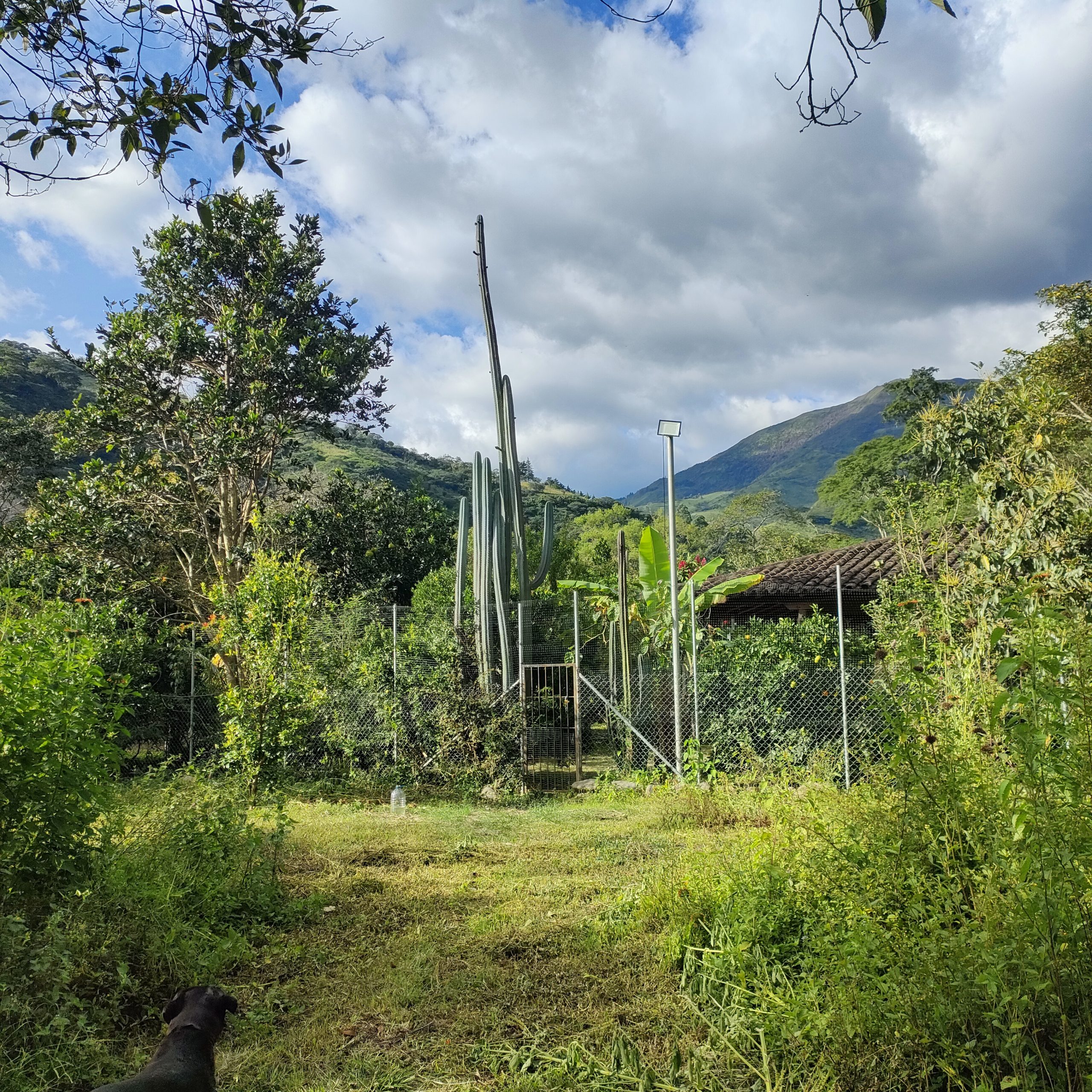 SE VENDE CASA MAS TERRENO JUNTO AL RIO.