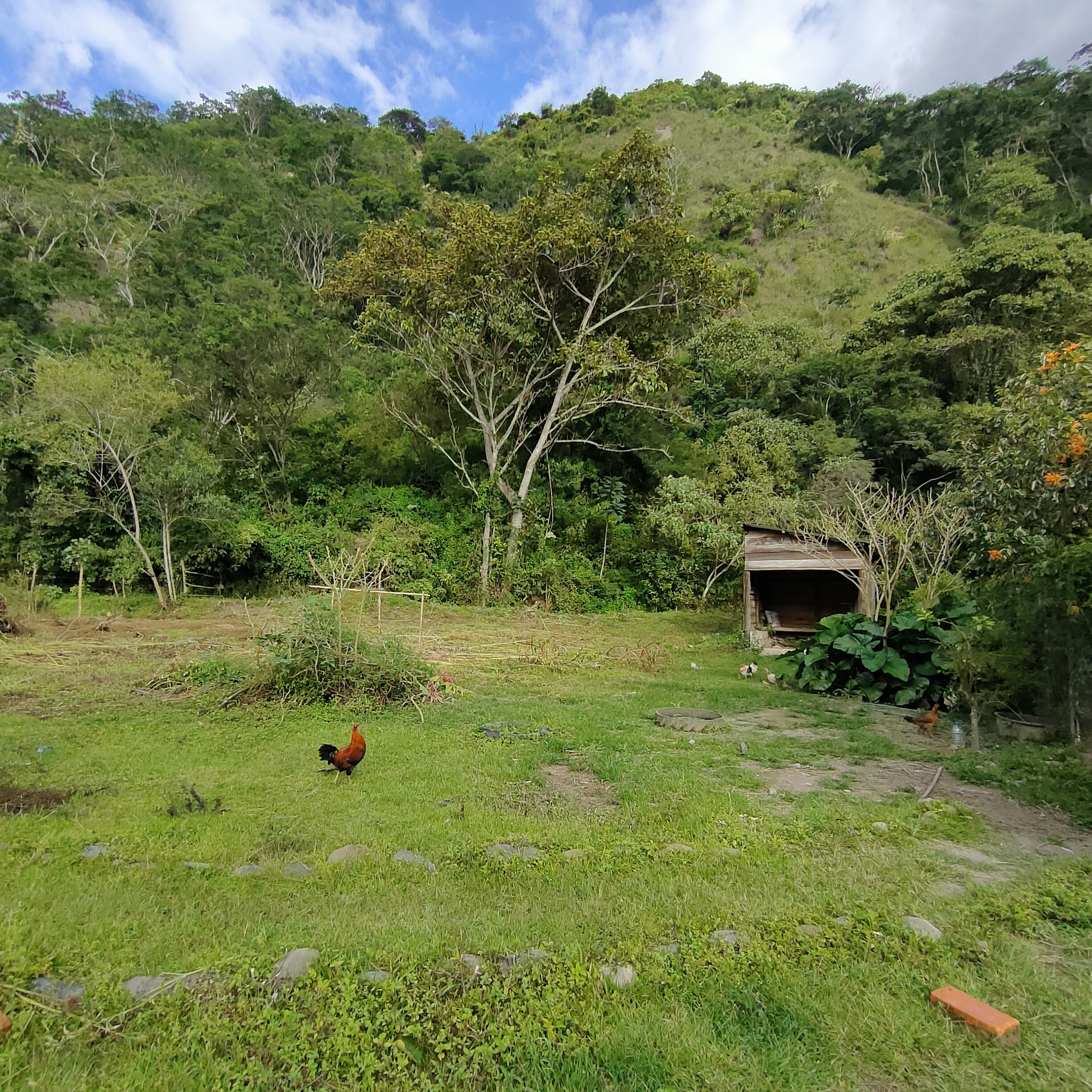 SE VENDE CASA MAS TERRENO JUNTO AL RIO.