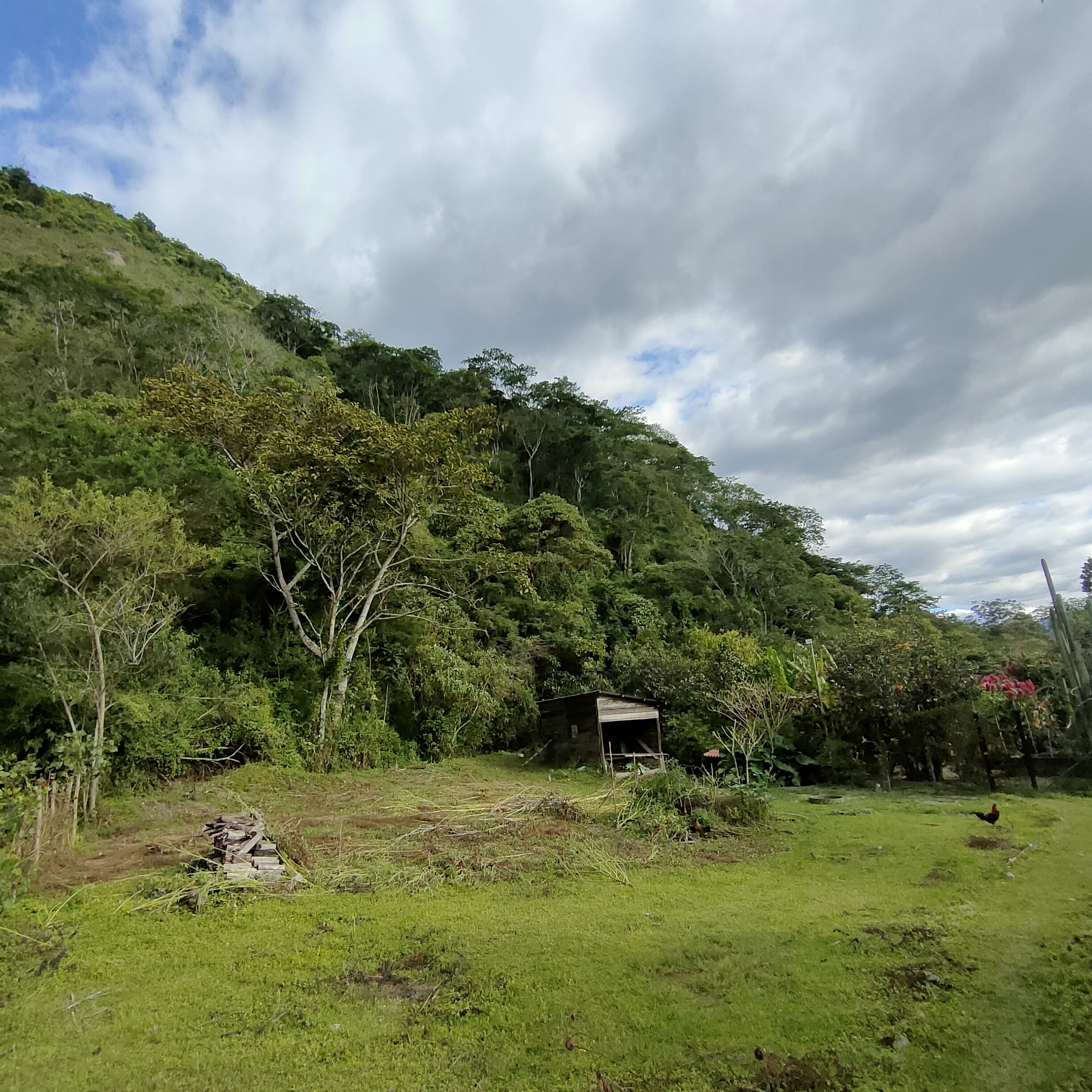 SE VENDE CASA MAS TERRENO JUNTO AL RIO.