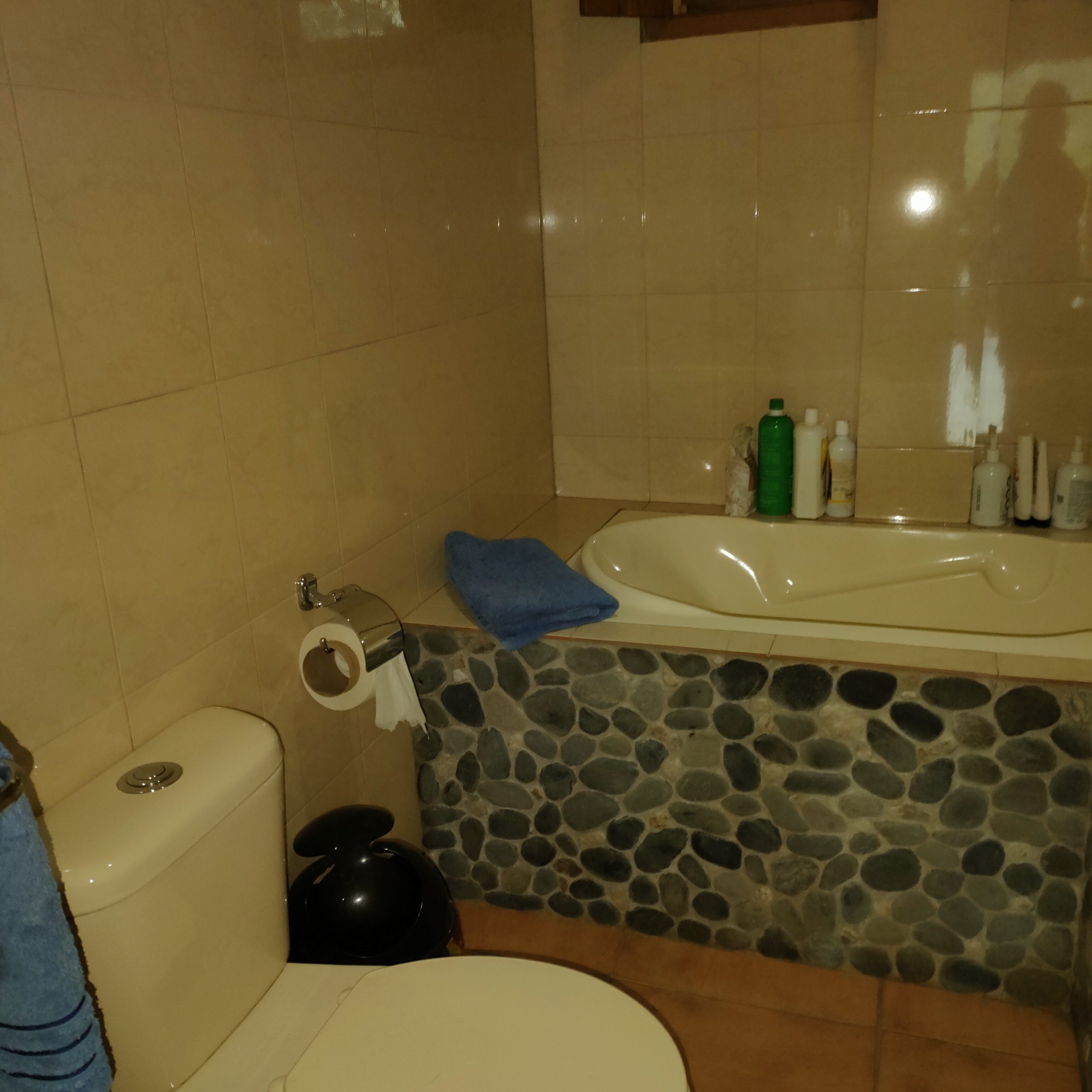 SE VENDE CASA MAS TERRENO JUNTO AL RIO.