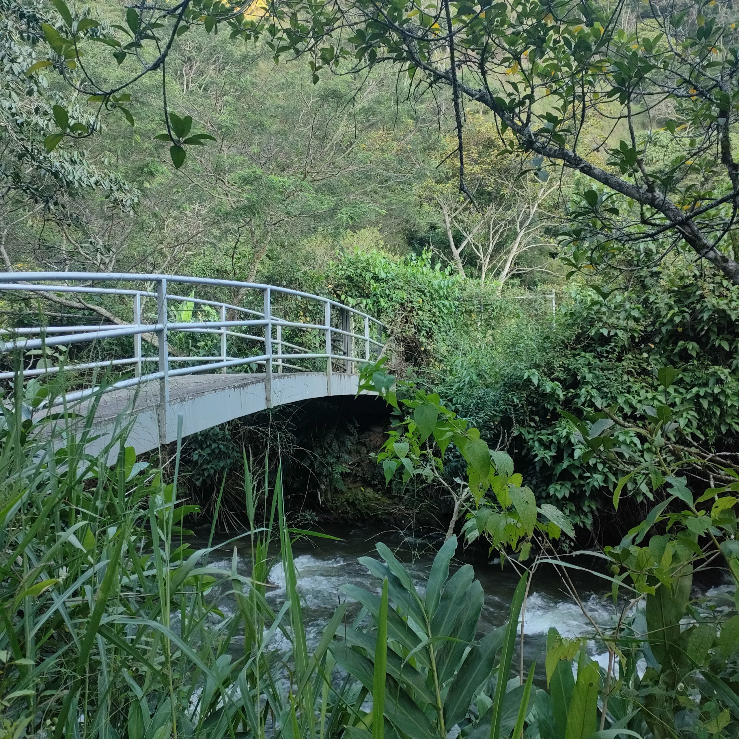 SE VENDE CASA MAS TERRENO JUNTO AL RIO.