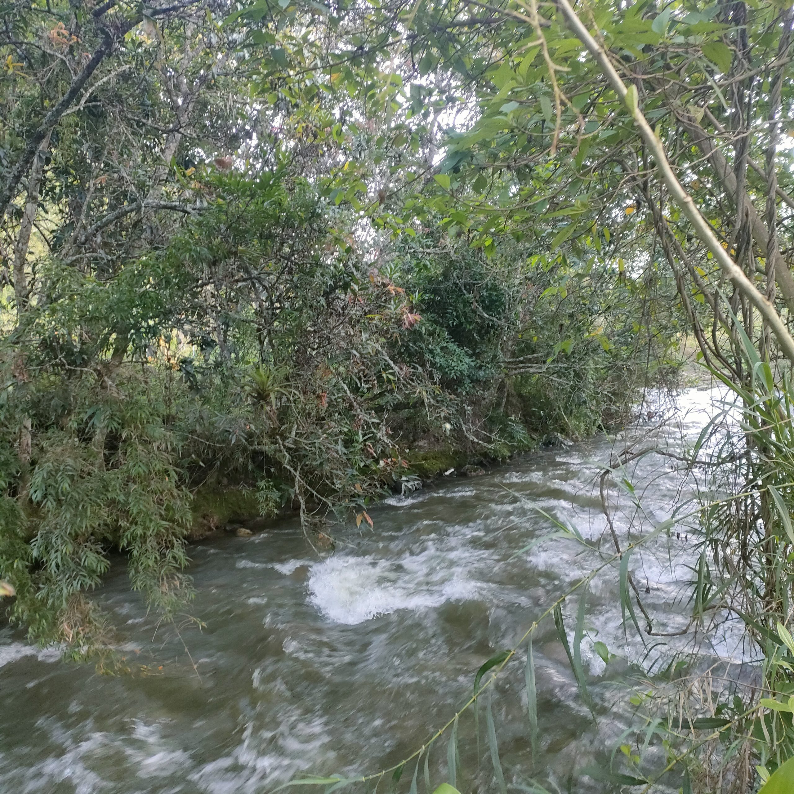 SE VENDE CASA MAS TERRENO JUNTO AL RIO.