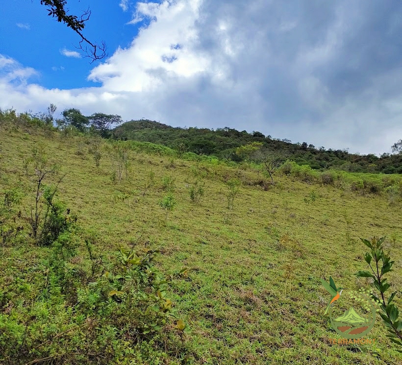 SE VENDE FANTÁSTICA FINCA EN LA PARTE ALTA DE VILCABAMBA.
