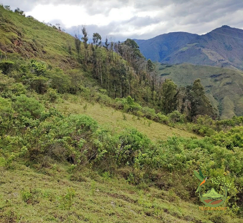 SE VENDE FANTÁSTICA FINCA EN LA PARTE ALTA DE VILCABAMBA.
