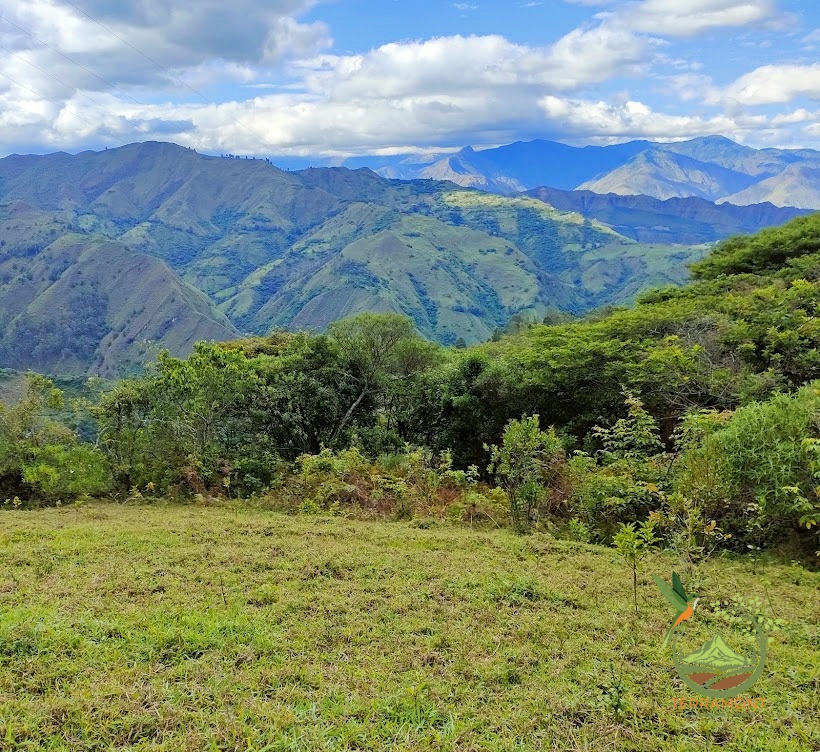 SE VENDE FANTÁSTICA FINCA EN LA PARTE ALTA DE VILCABAMBA.